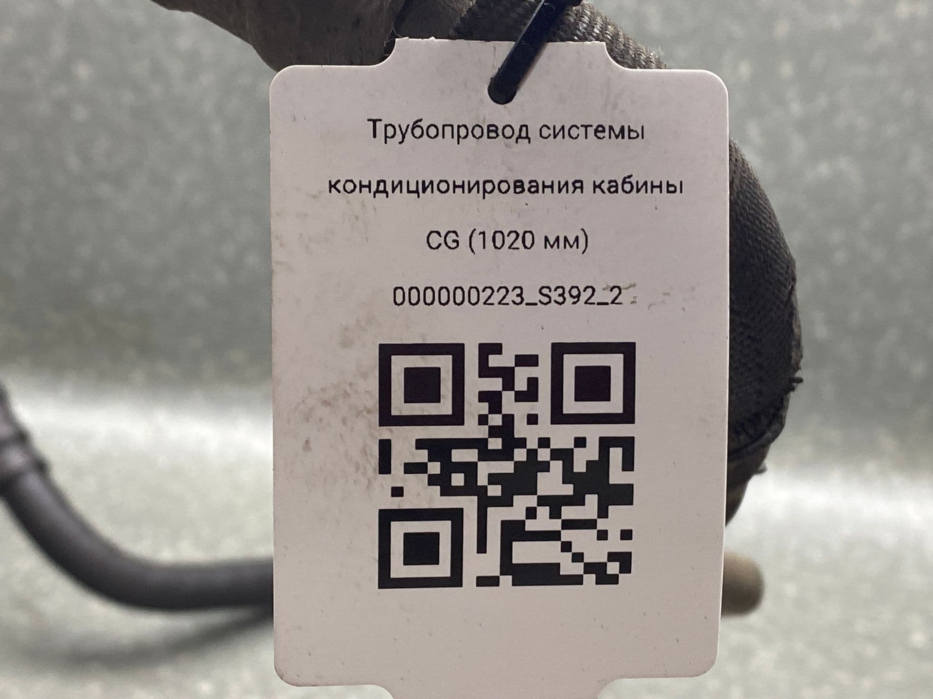 photo-3