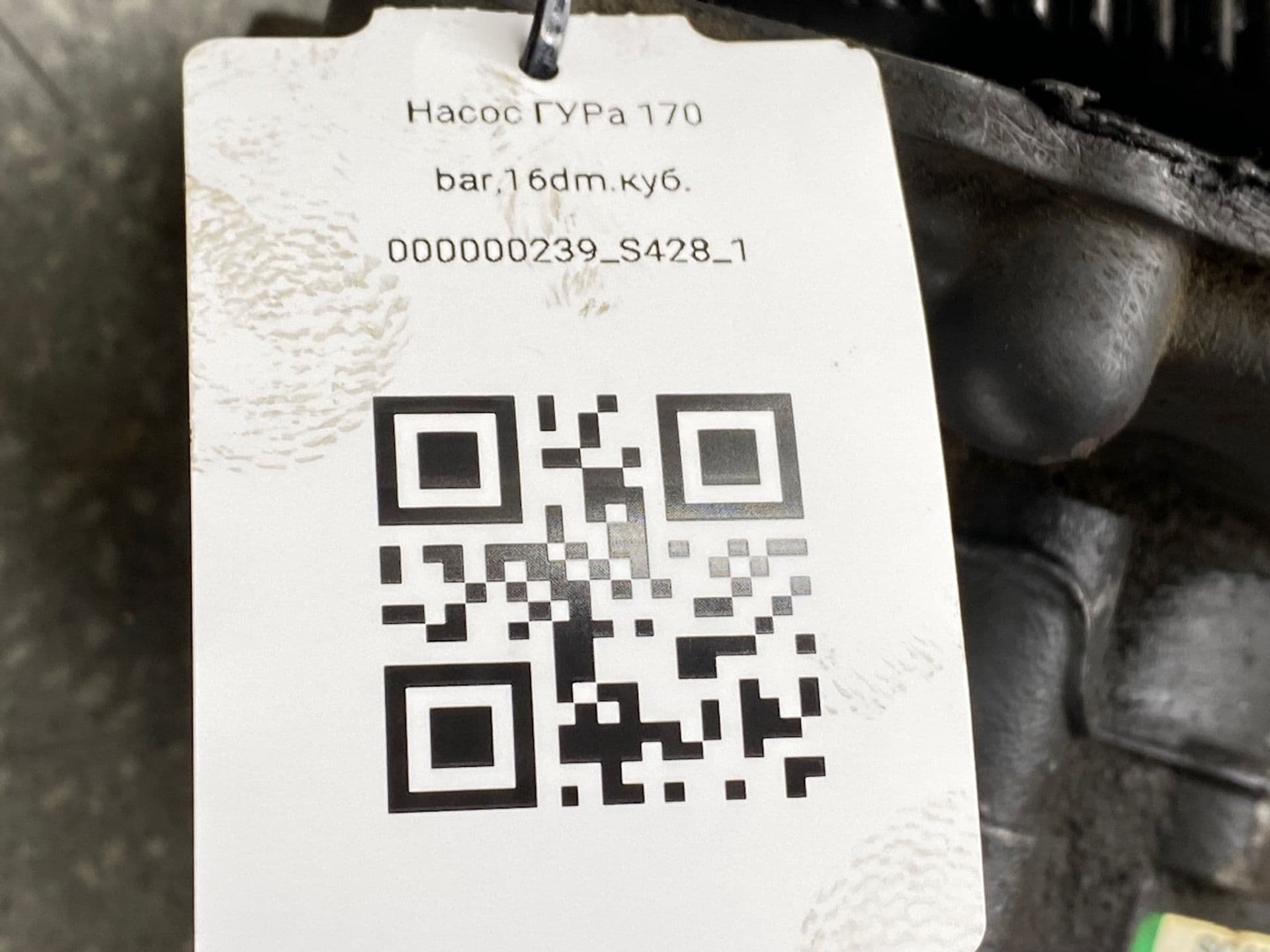 photo-6
