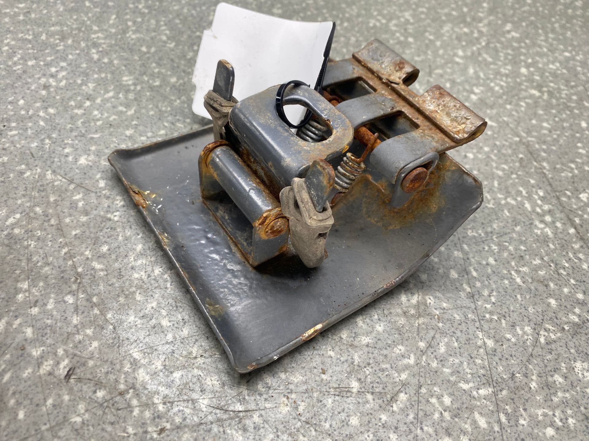 photo-1