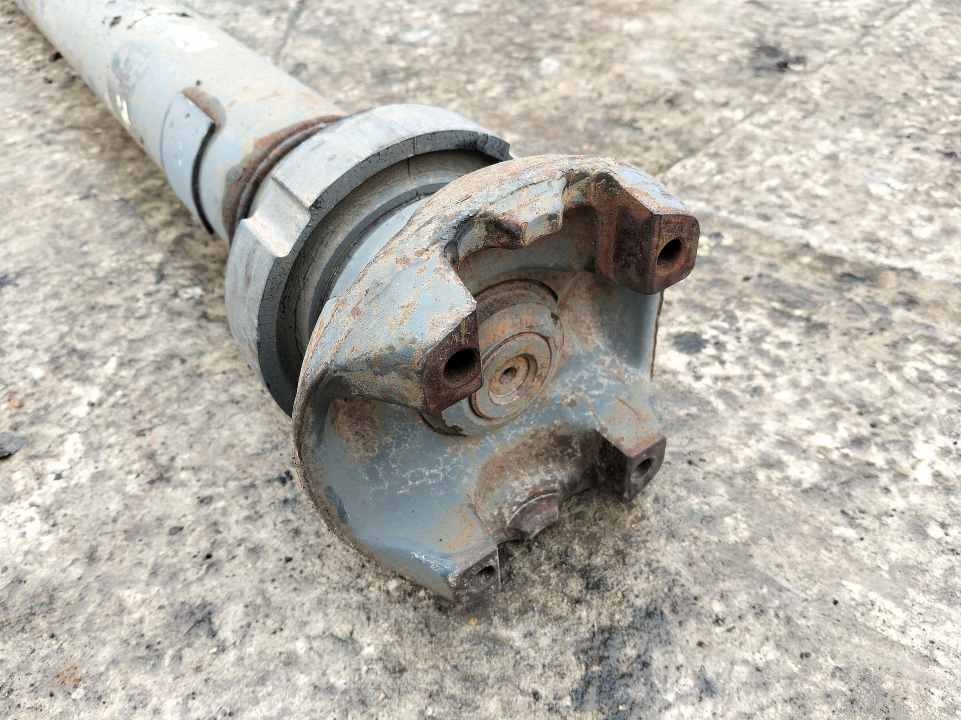 photo-1