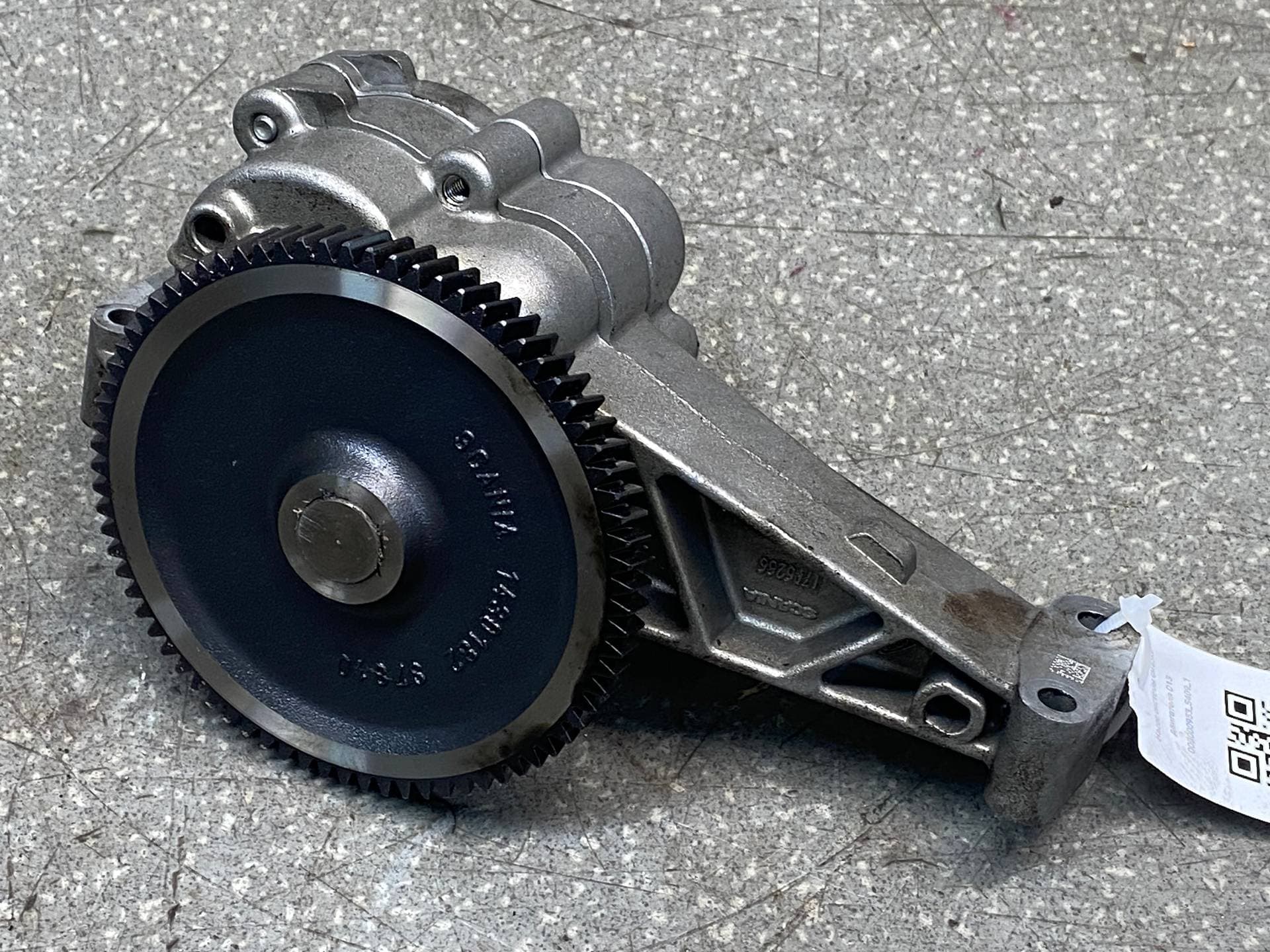 photo-1