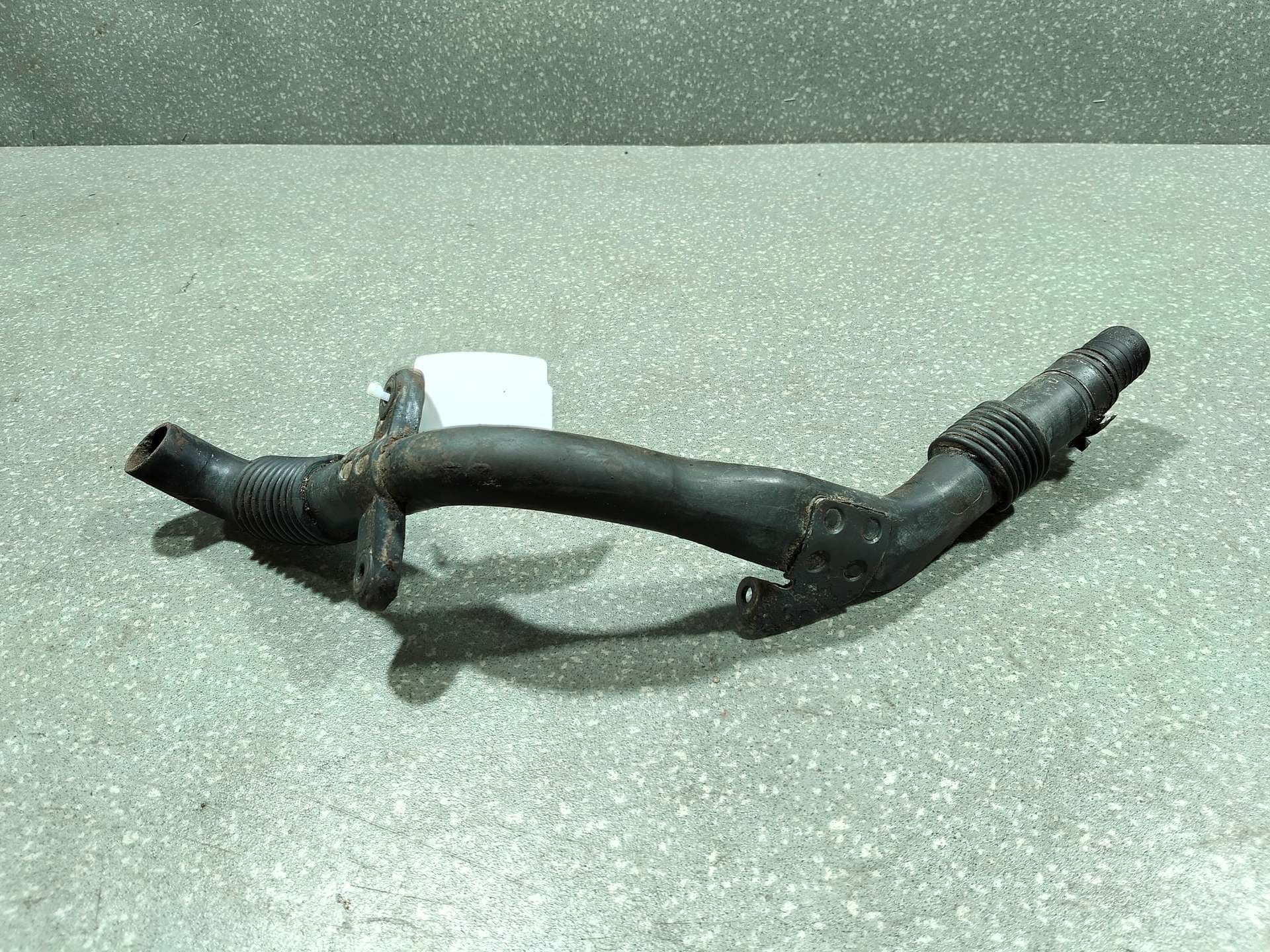 photo-1