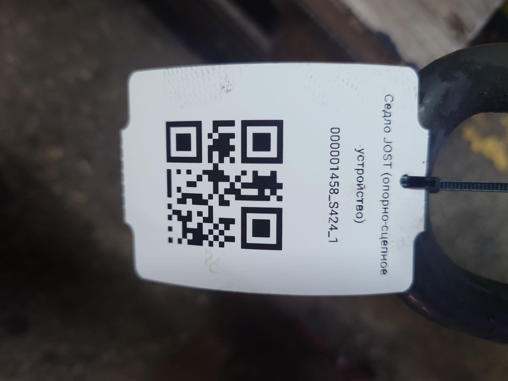 photo-1