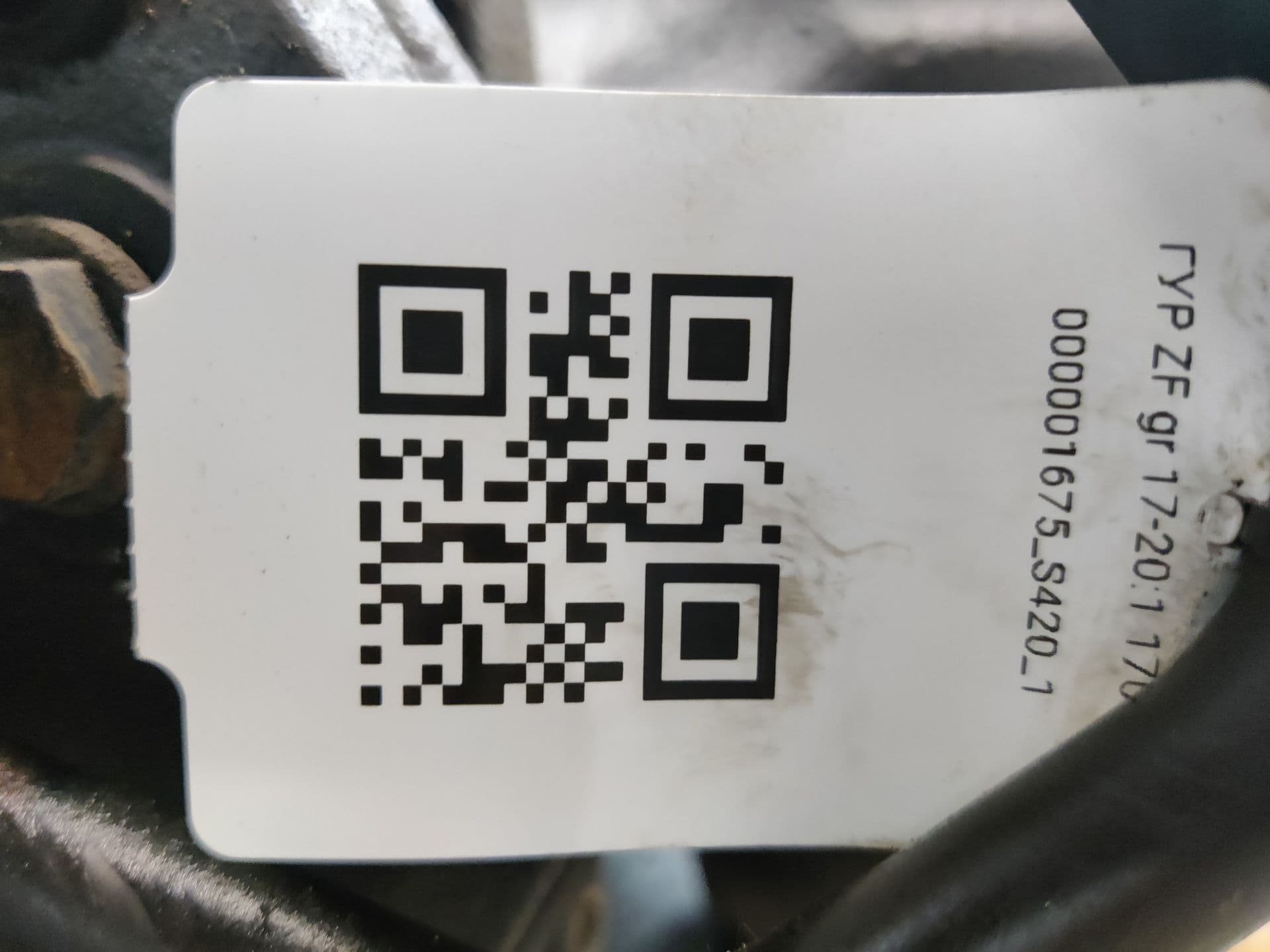 photo-3