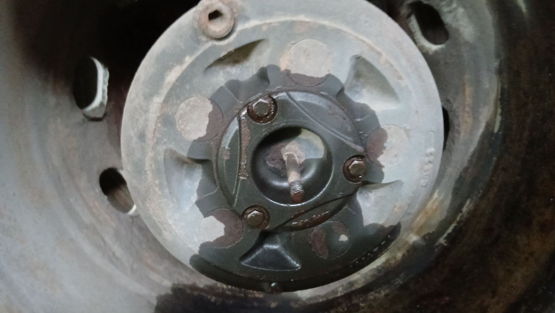 photo-1