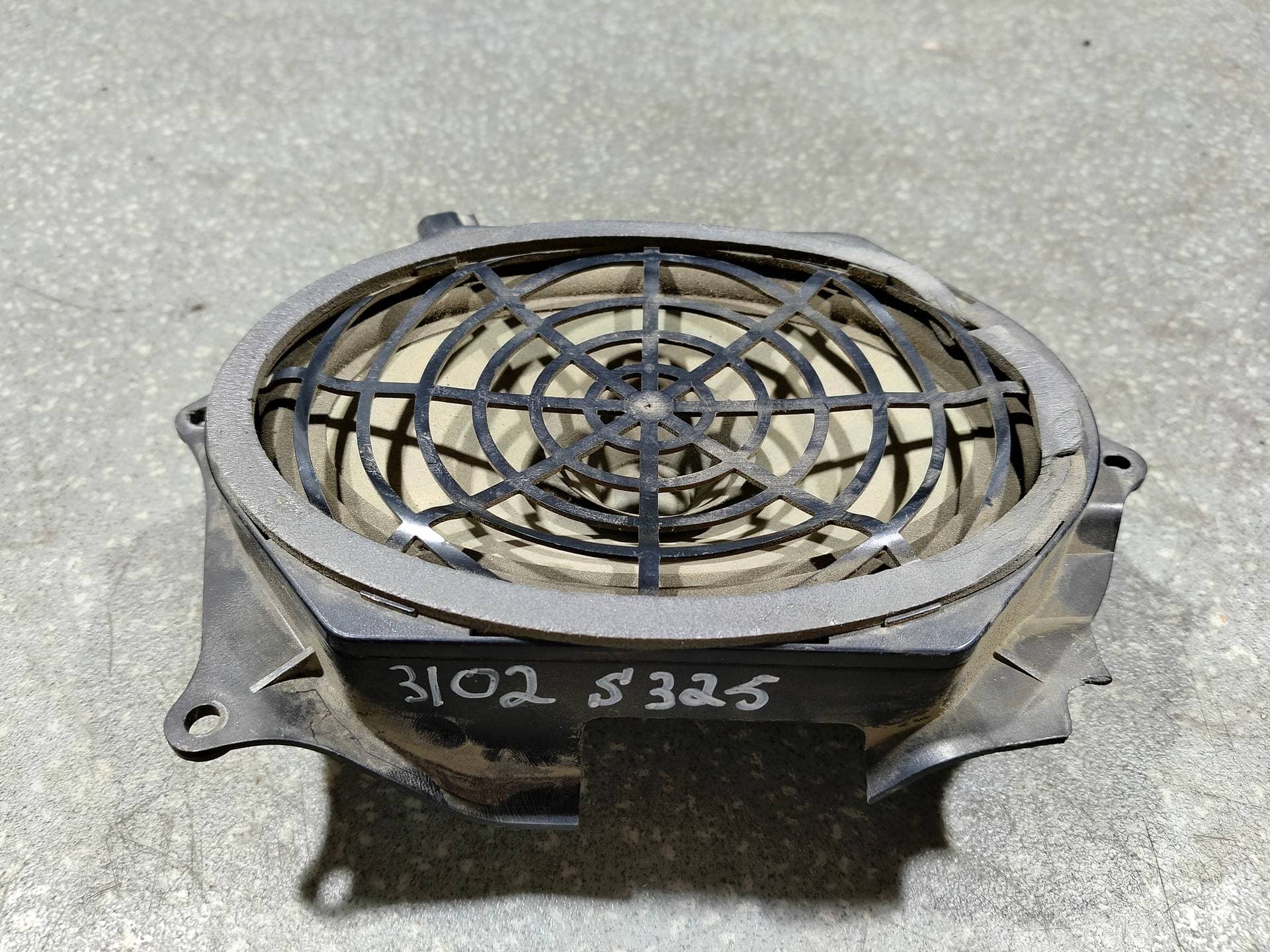 photo-1