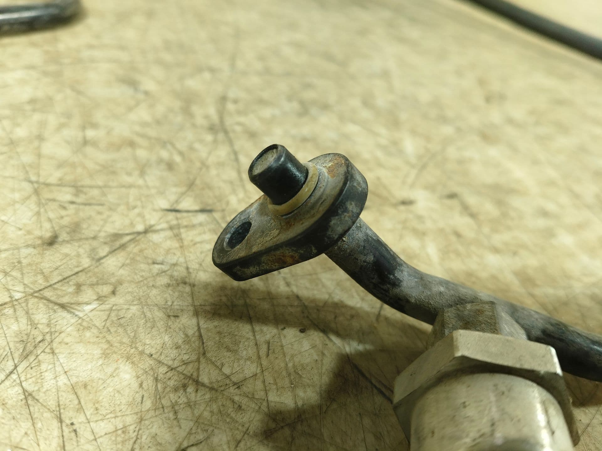 photo-1