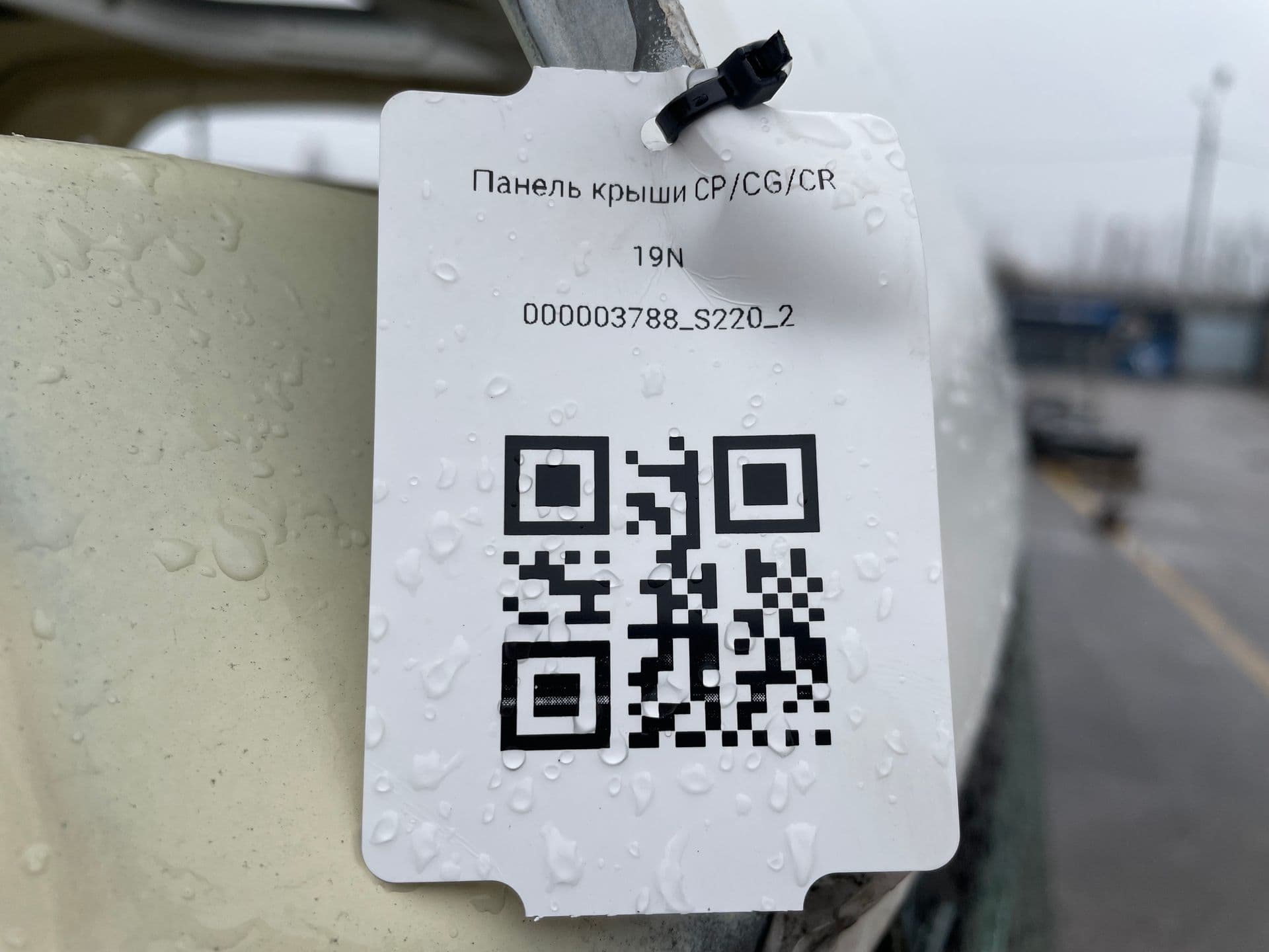 photo-6