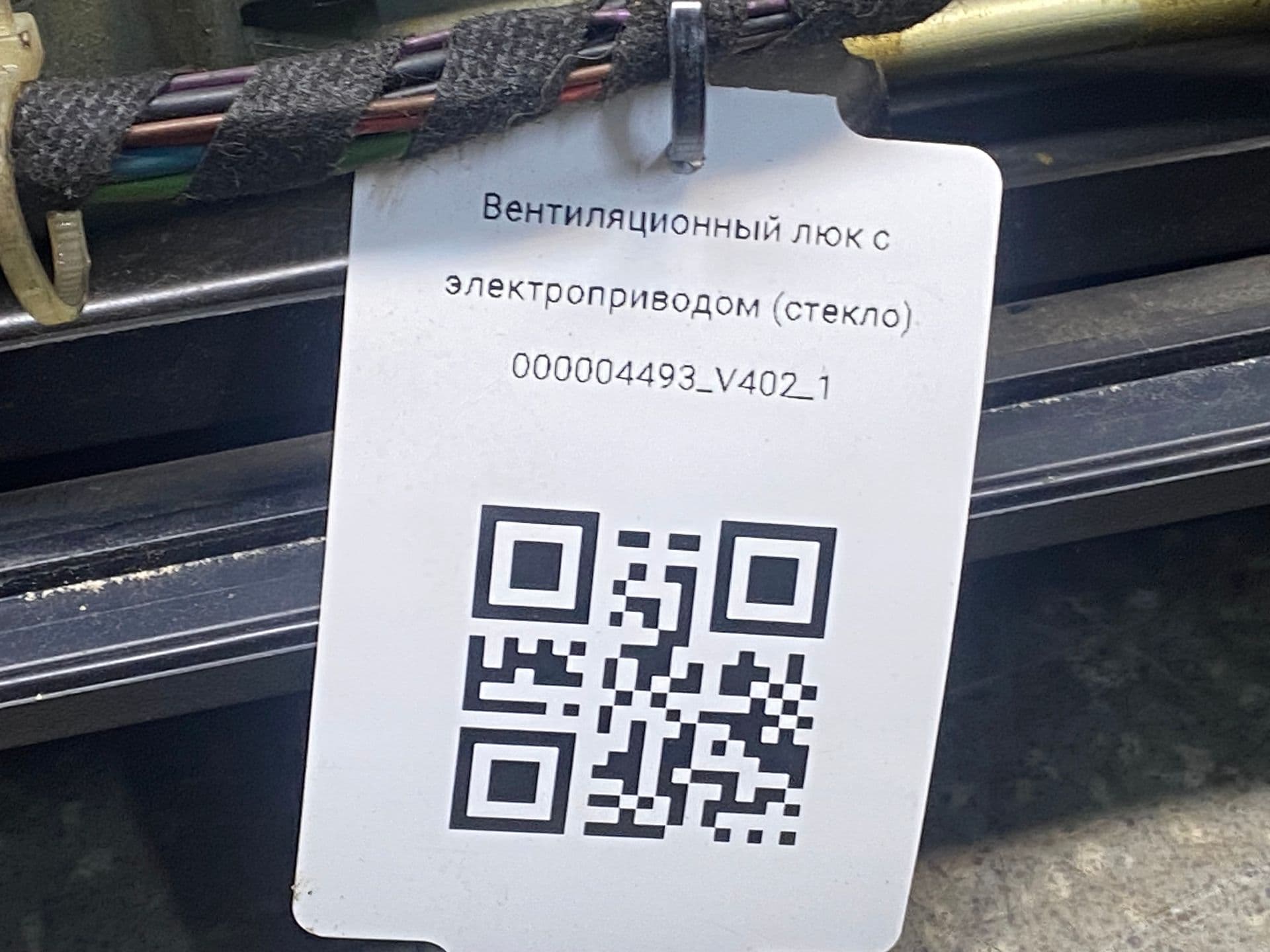 photo-3