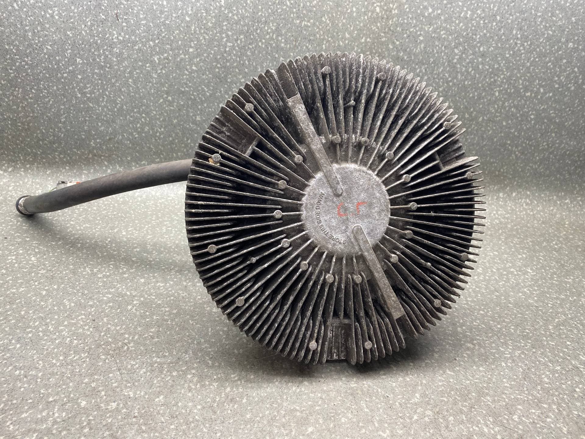 photo-1