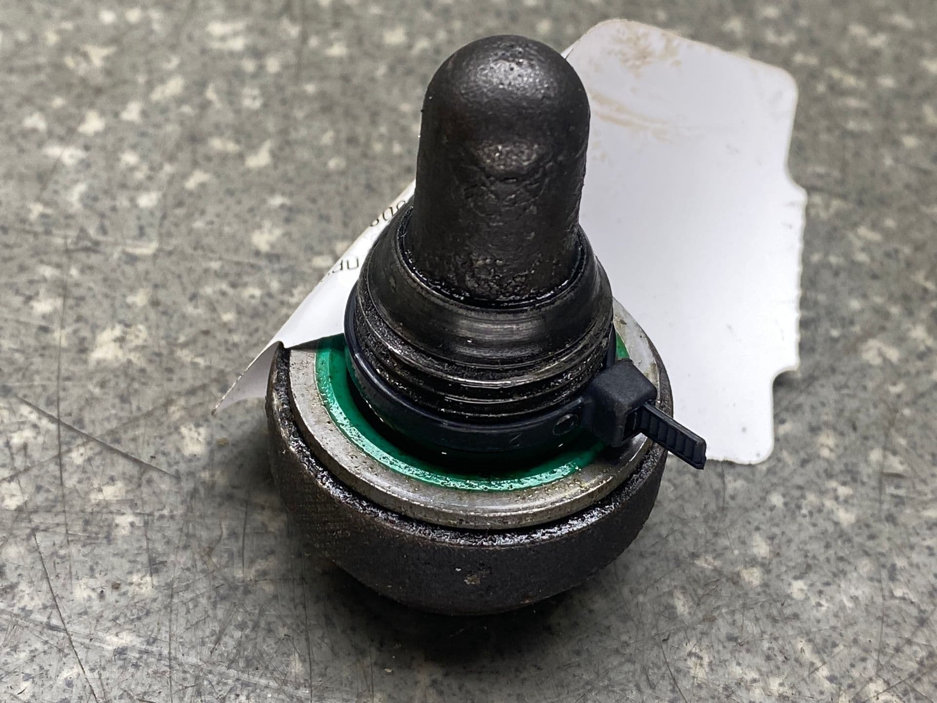 photo-1