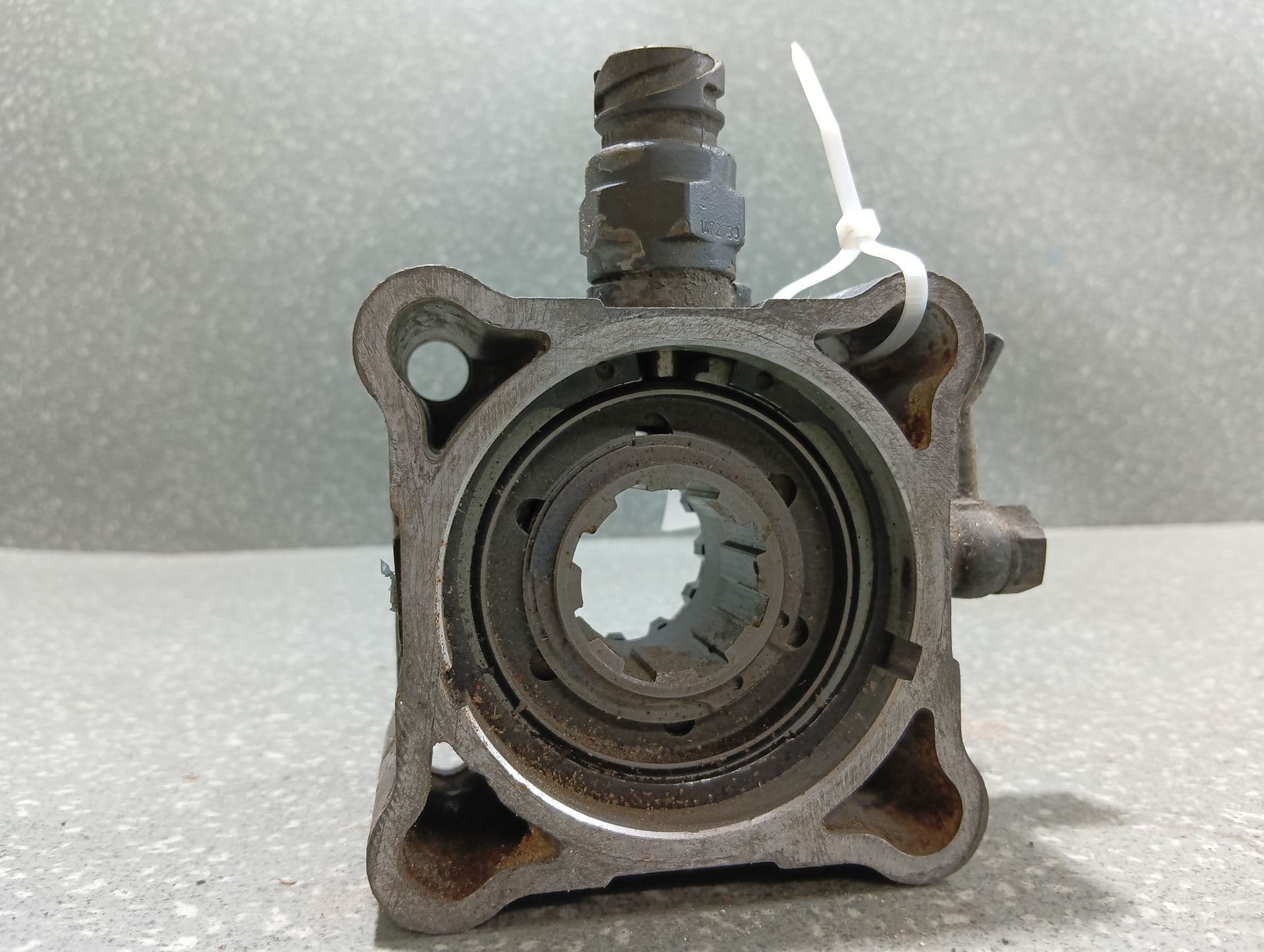 photo-1