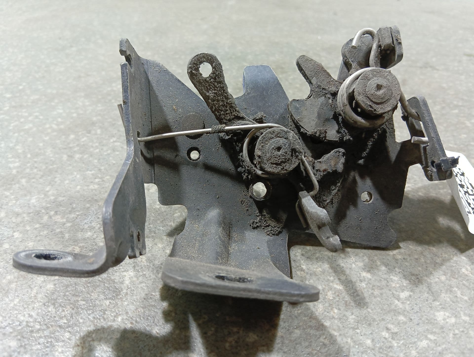 photo-1