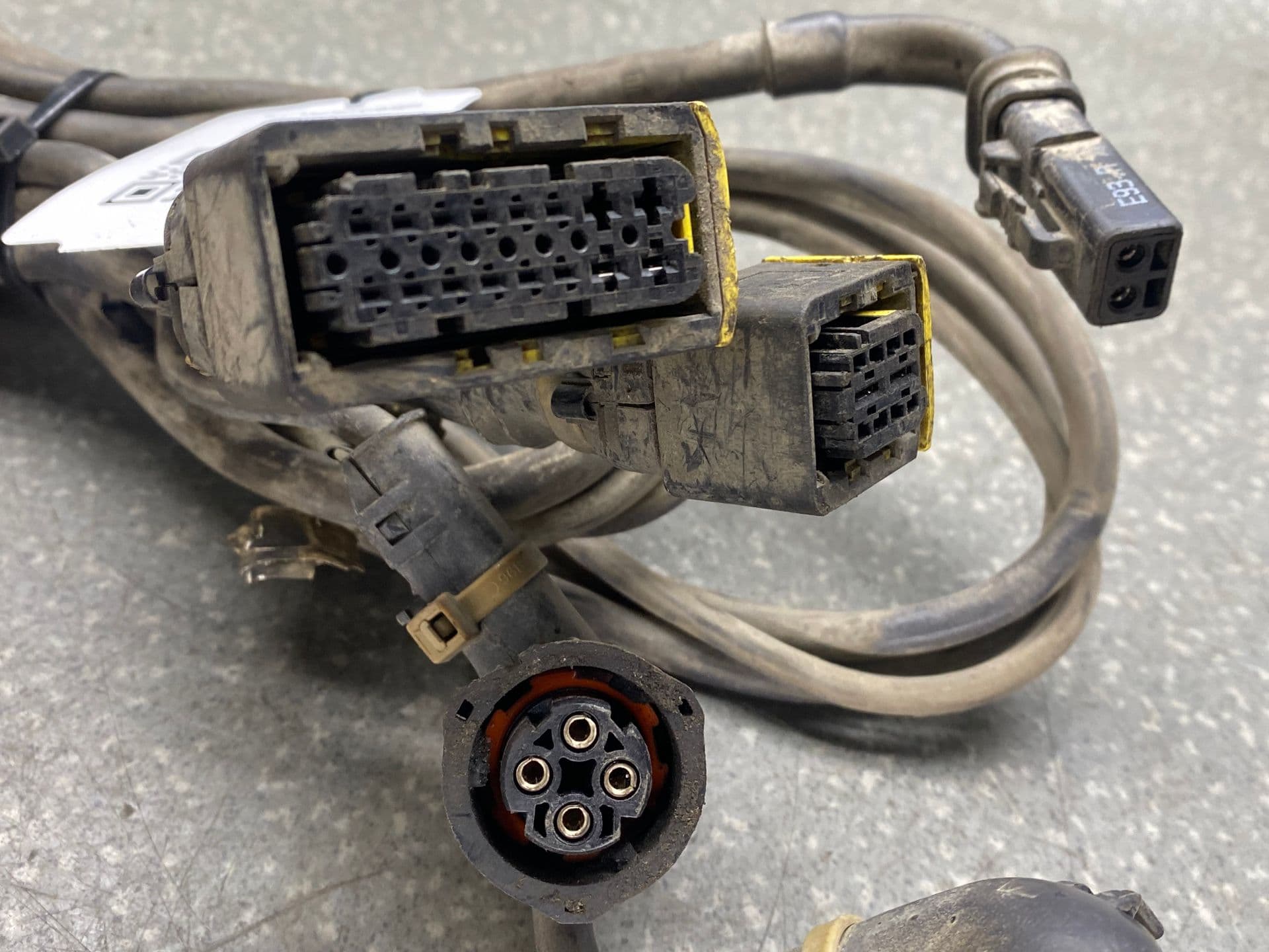 photo-2