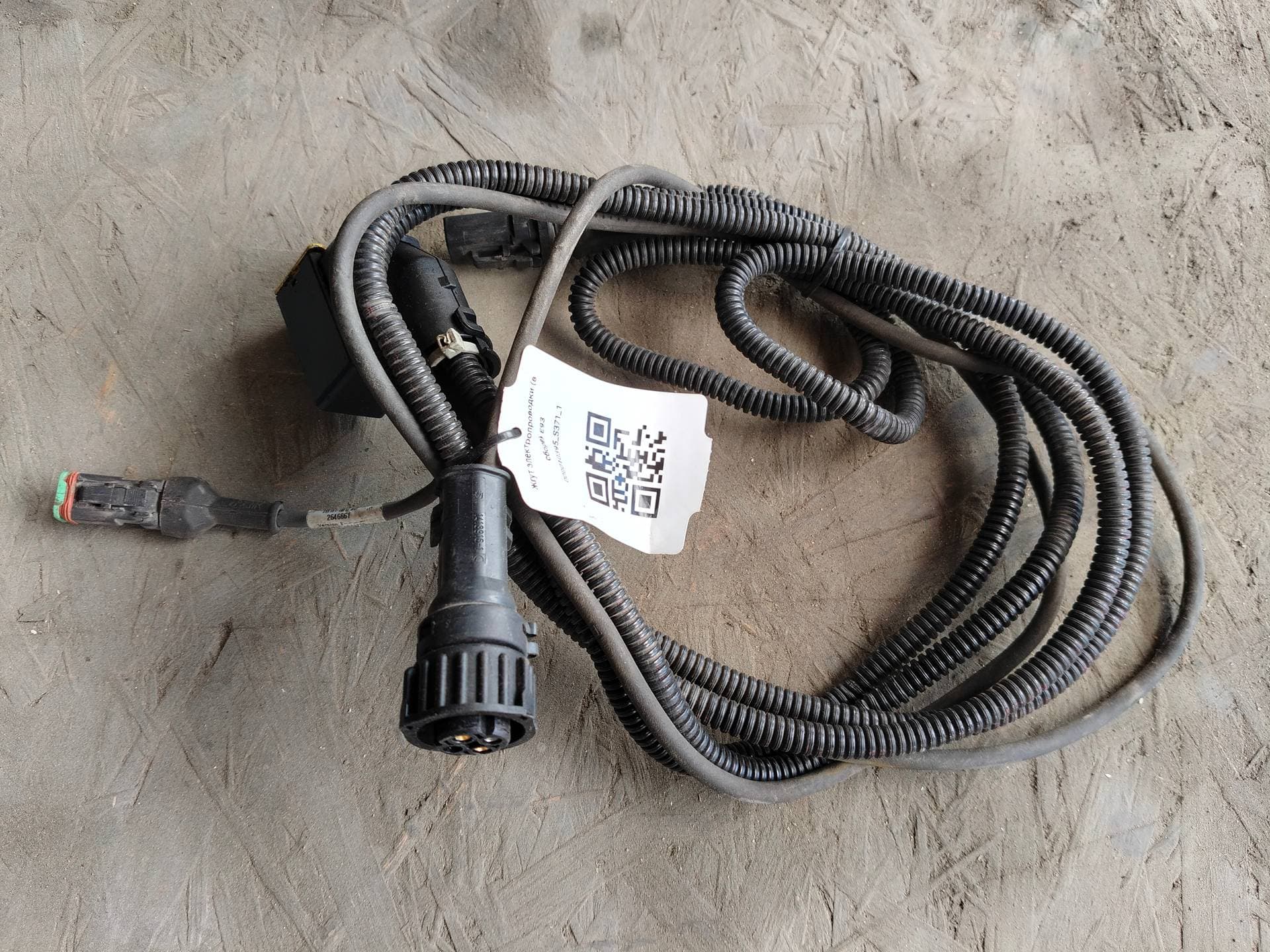 photo-1