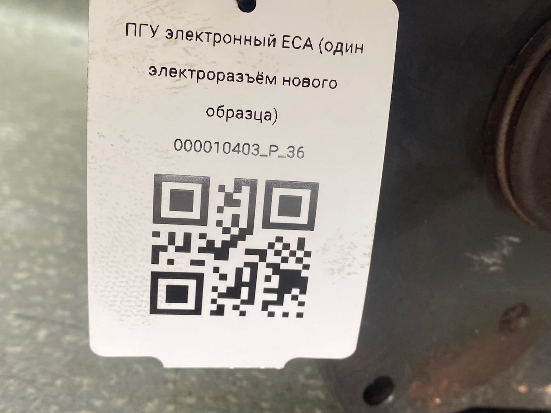 photo-6