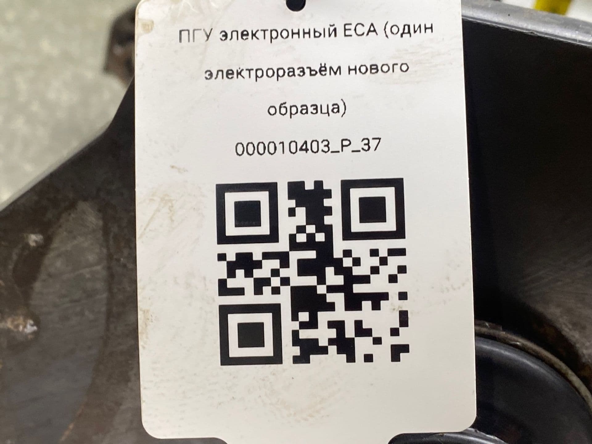 photo-6