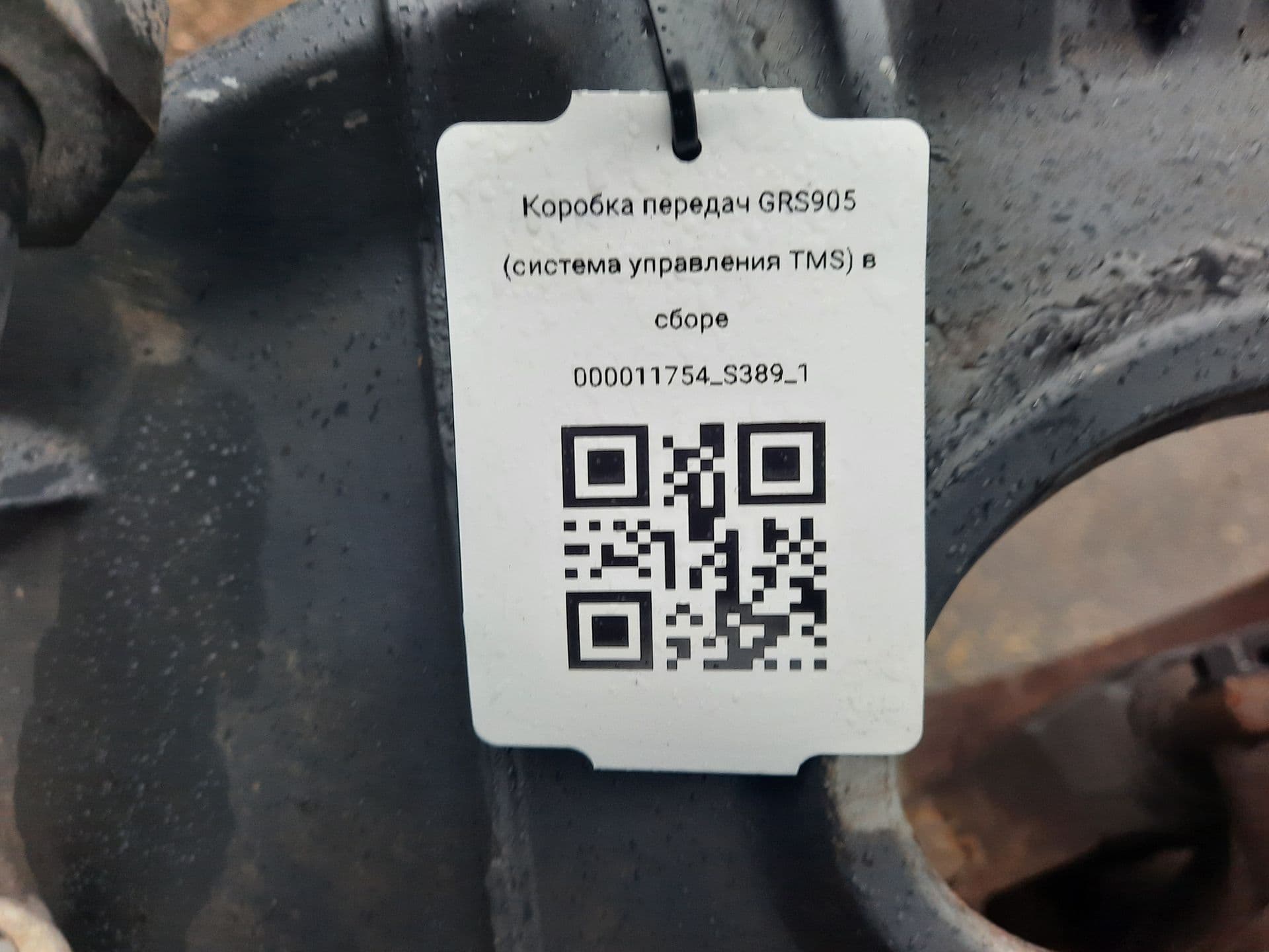 photo-3