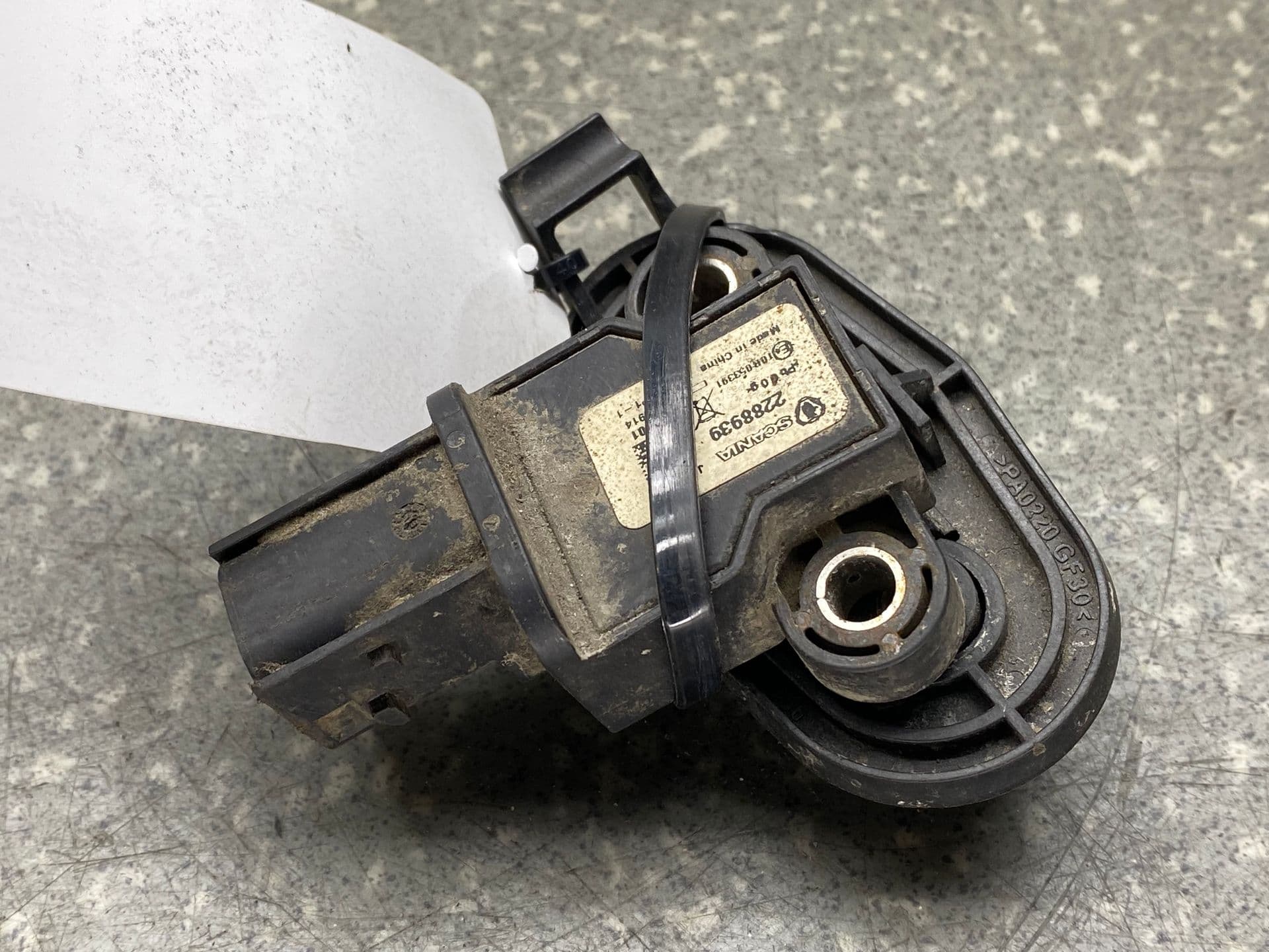 photo-1