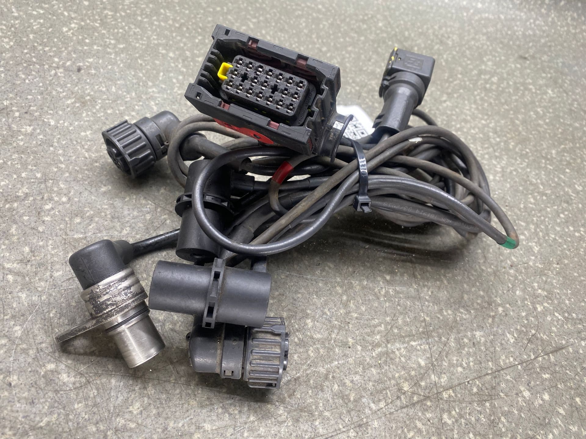 photo-1