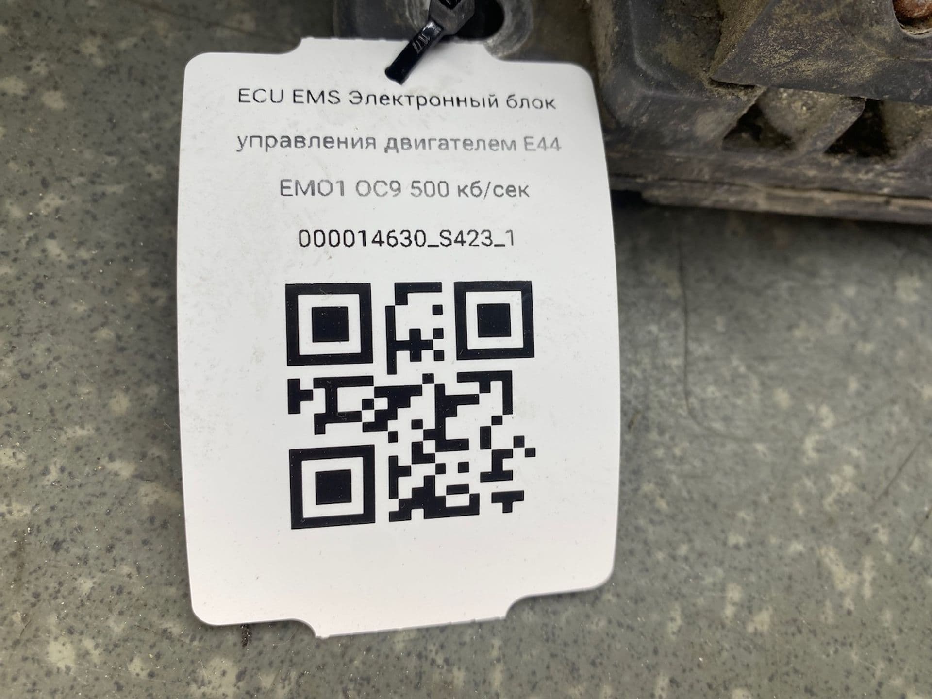photo-6
