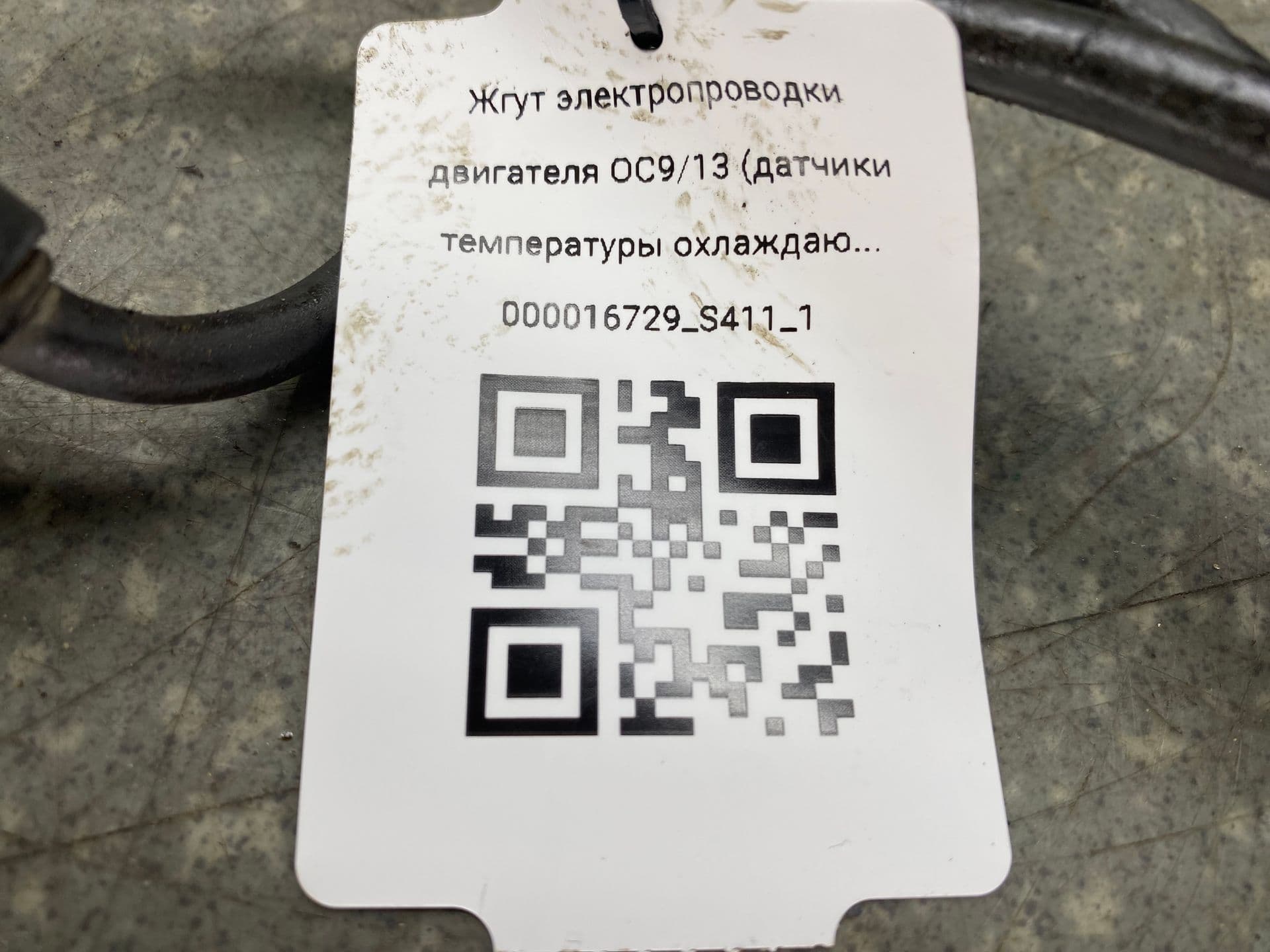photo-1