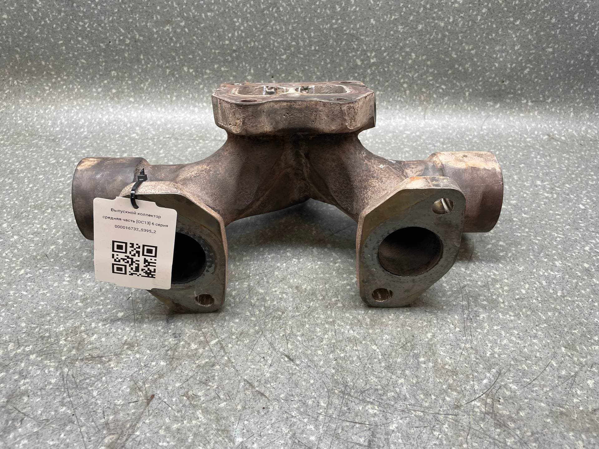 photo-1