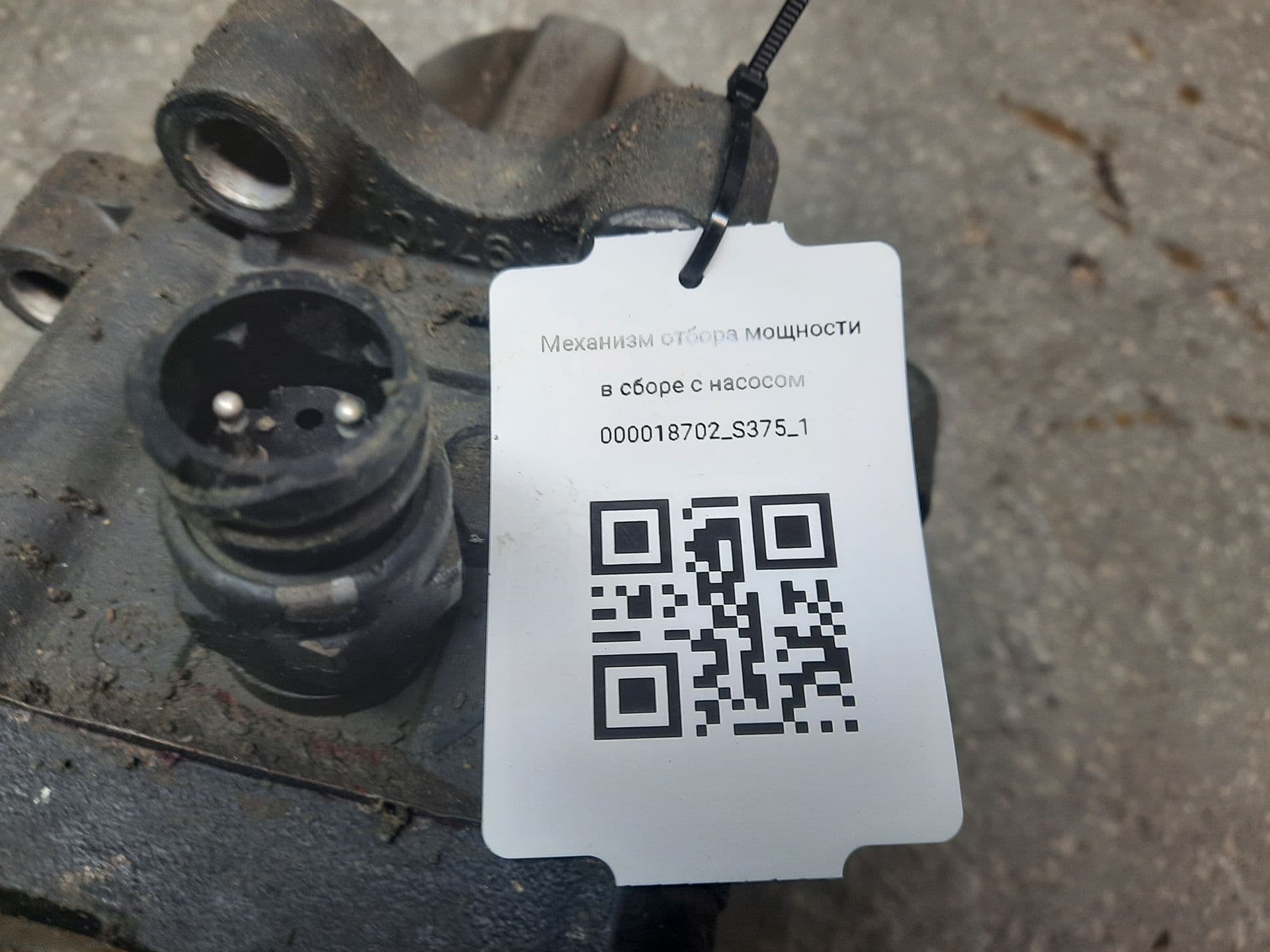 photo-3