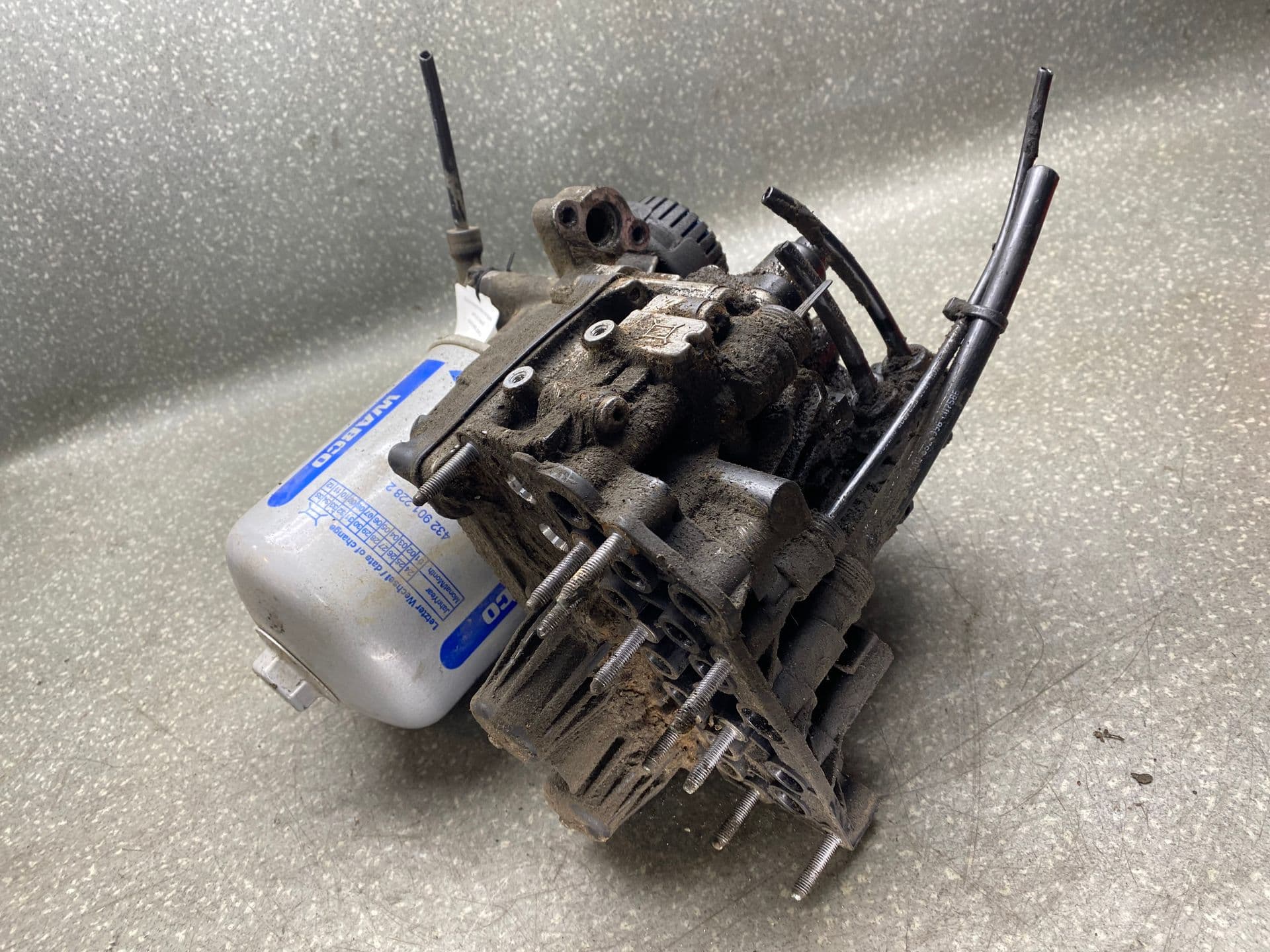 photo-1