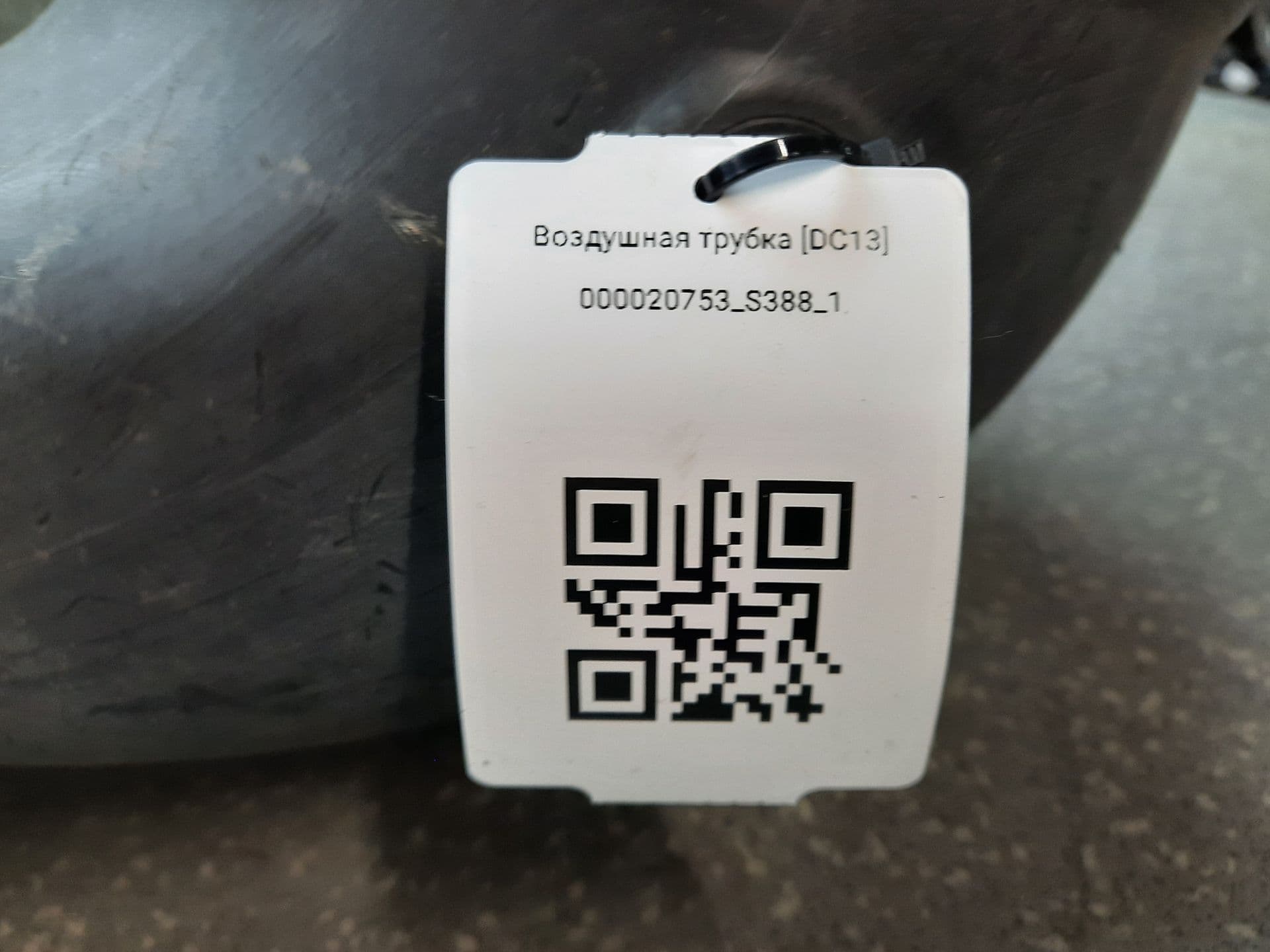 photo-3