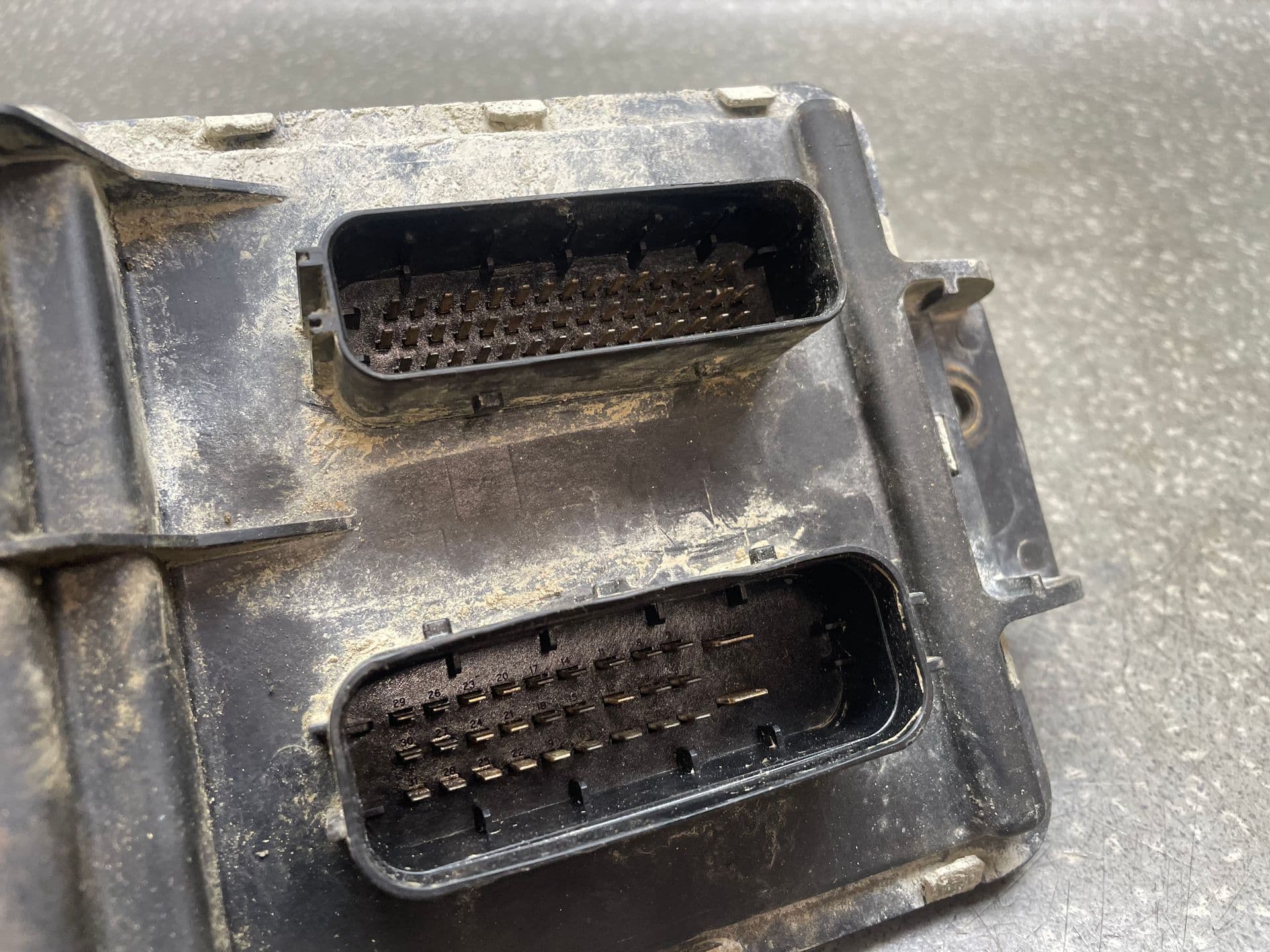 photo-1