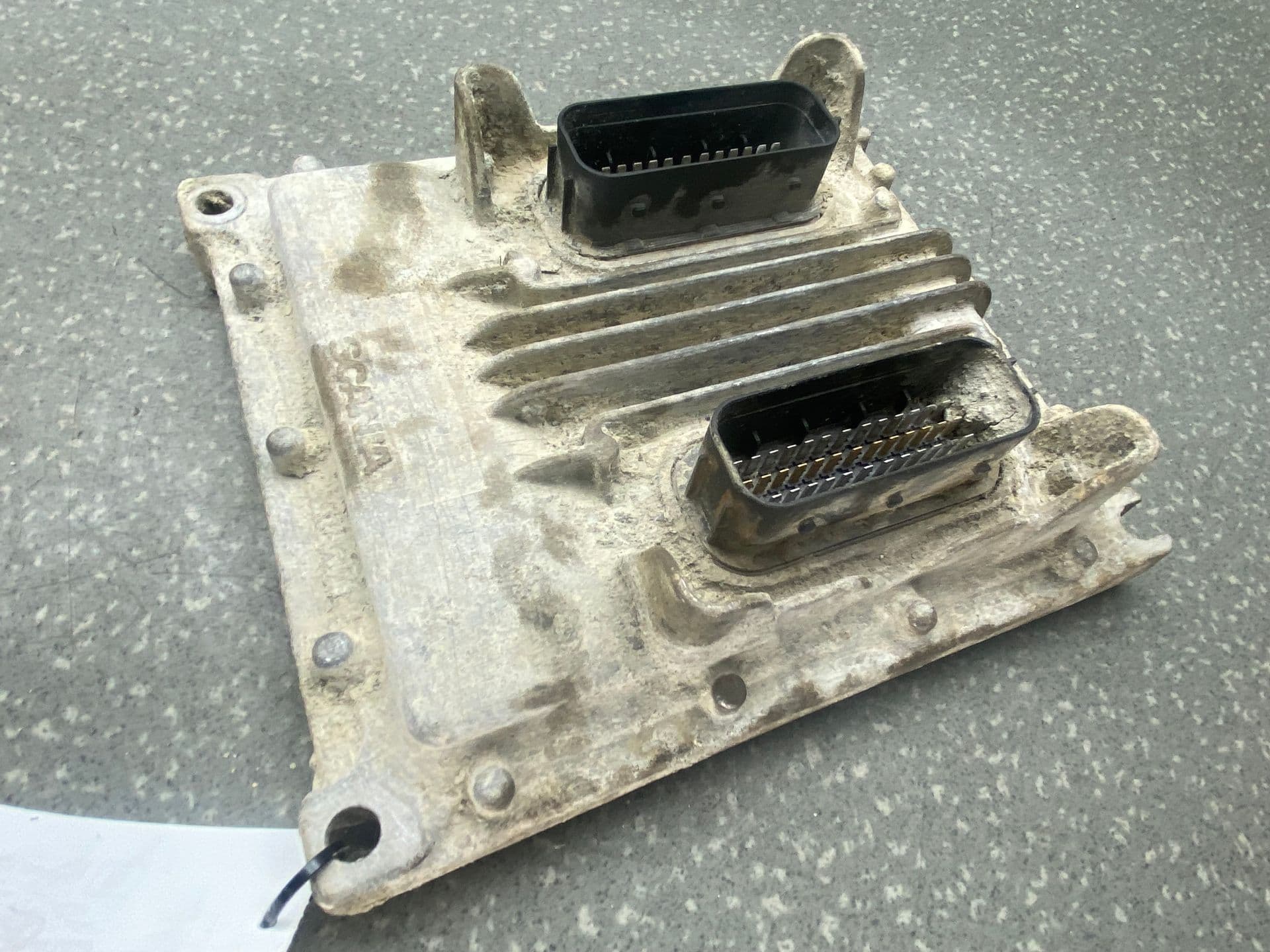 photo-1