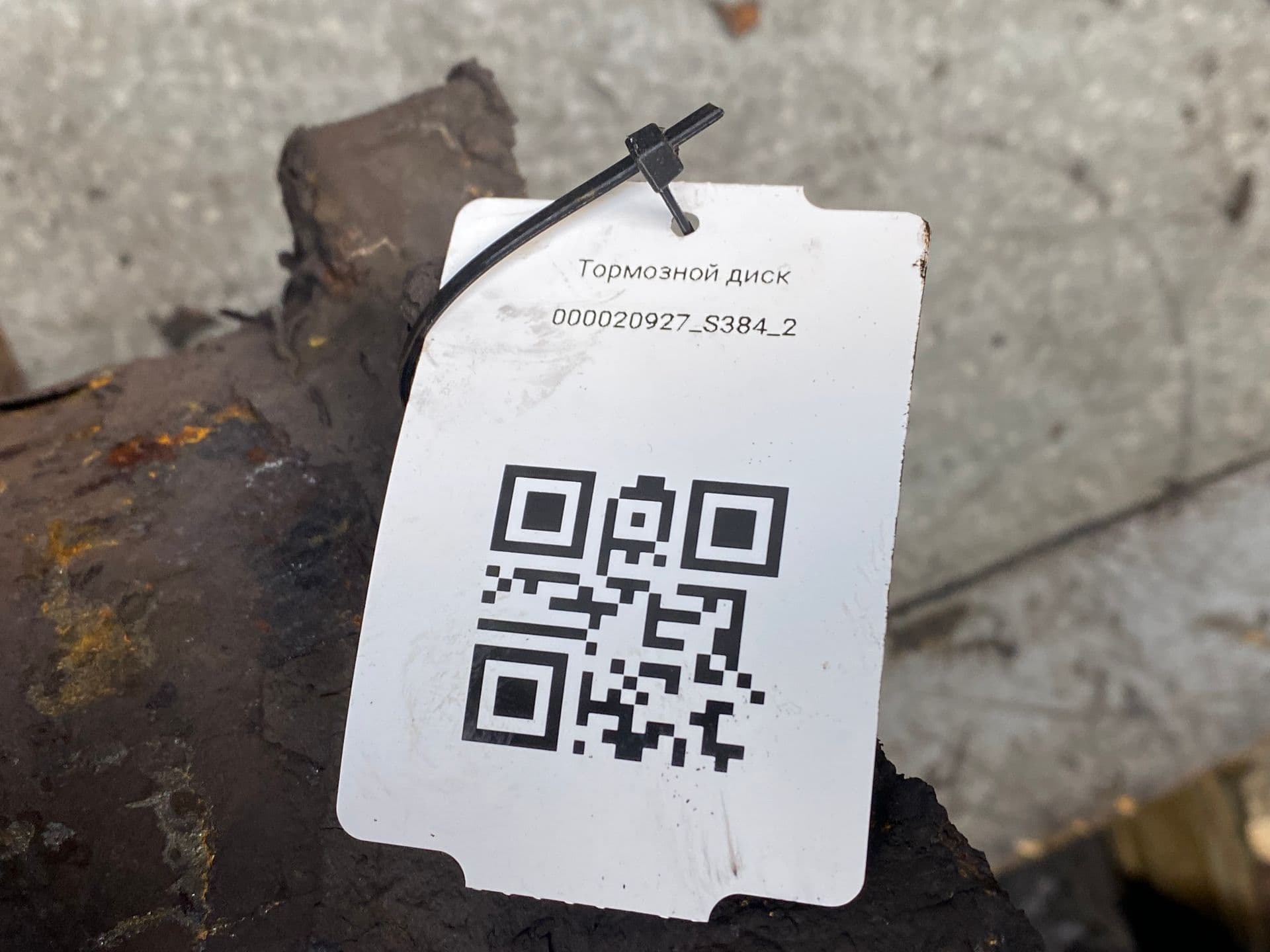 photo-1
