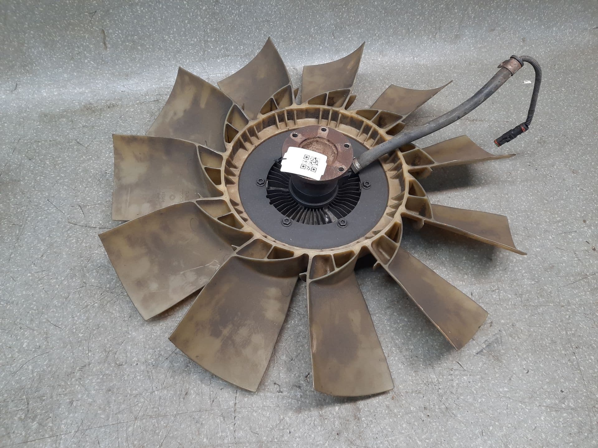photo-1