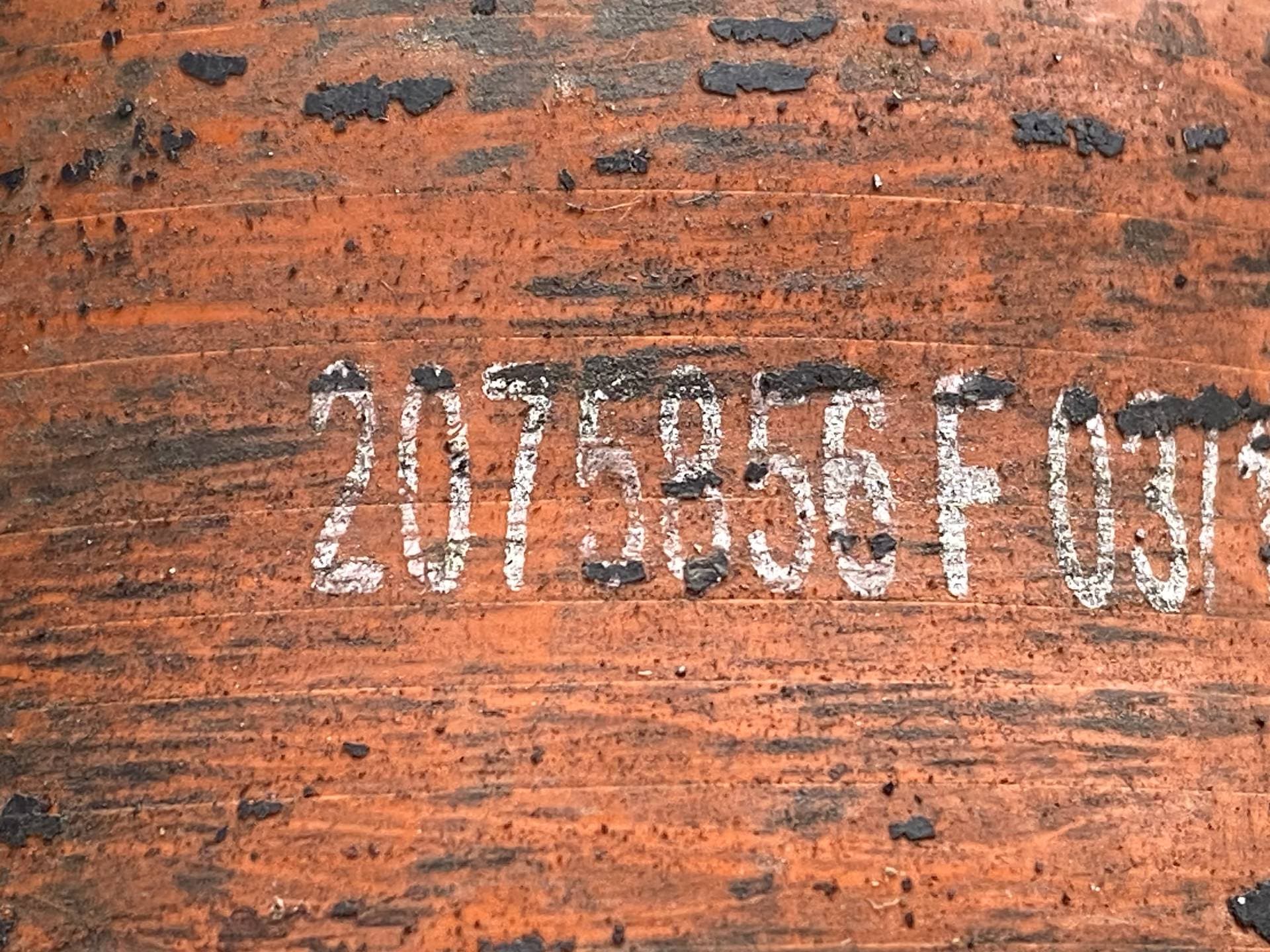 photo-2