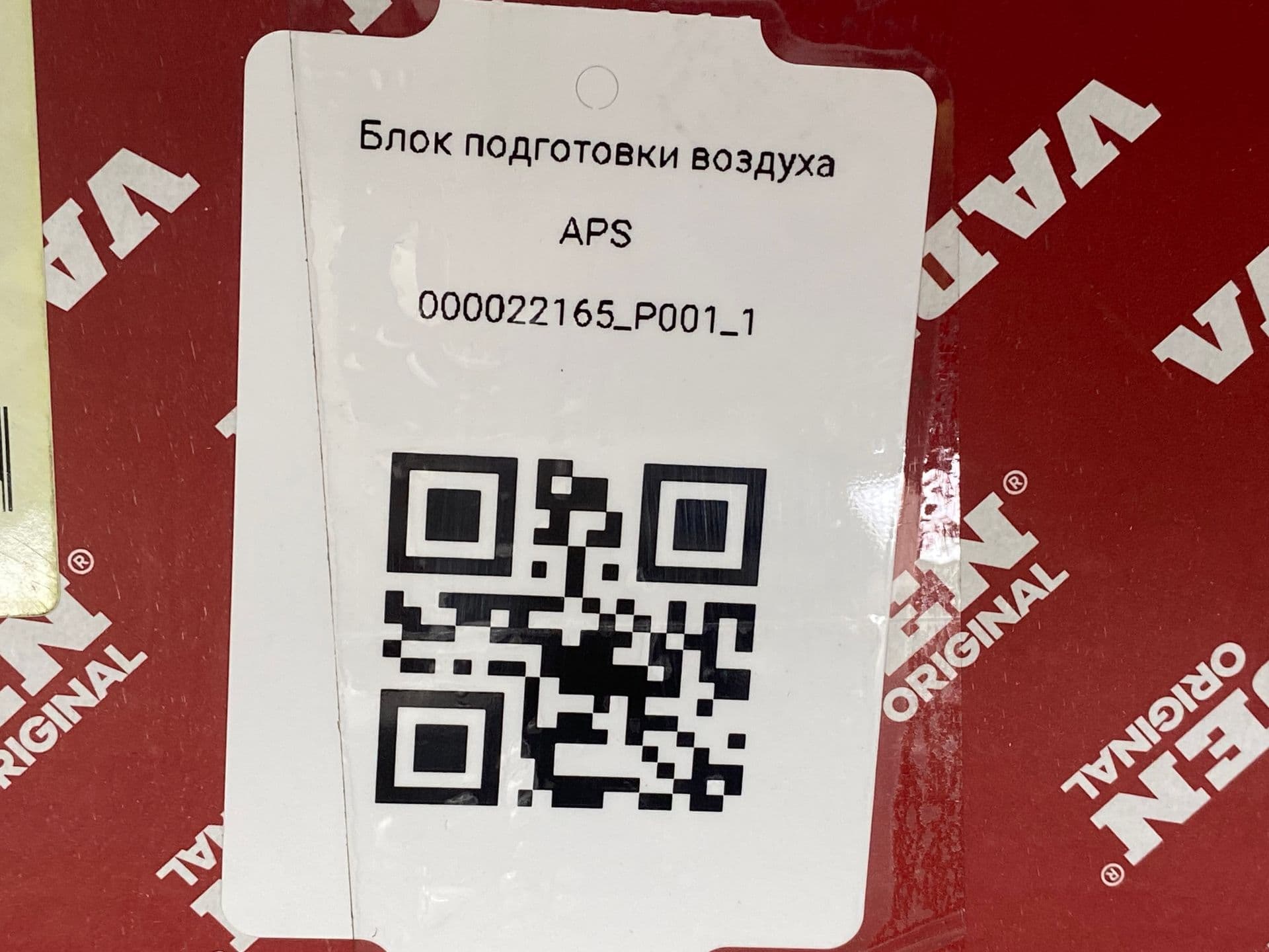 photo-7