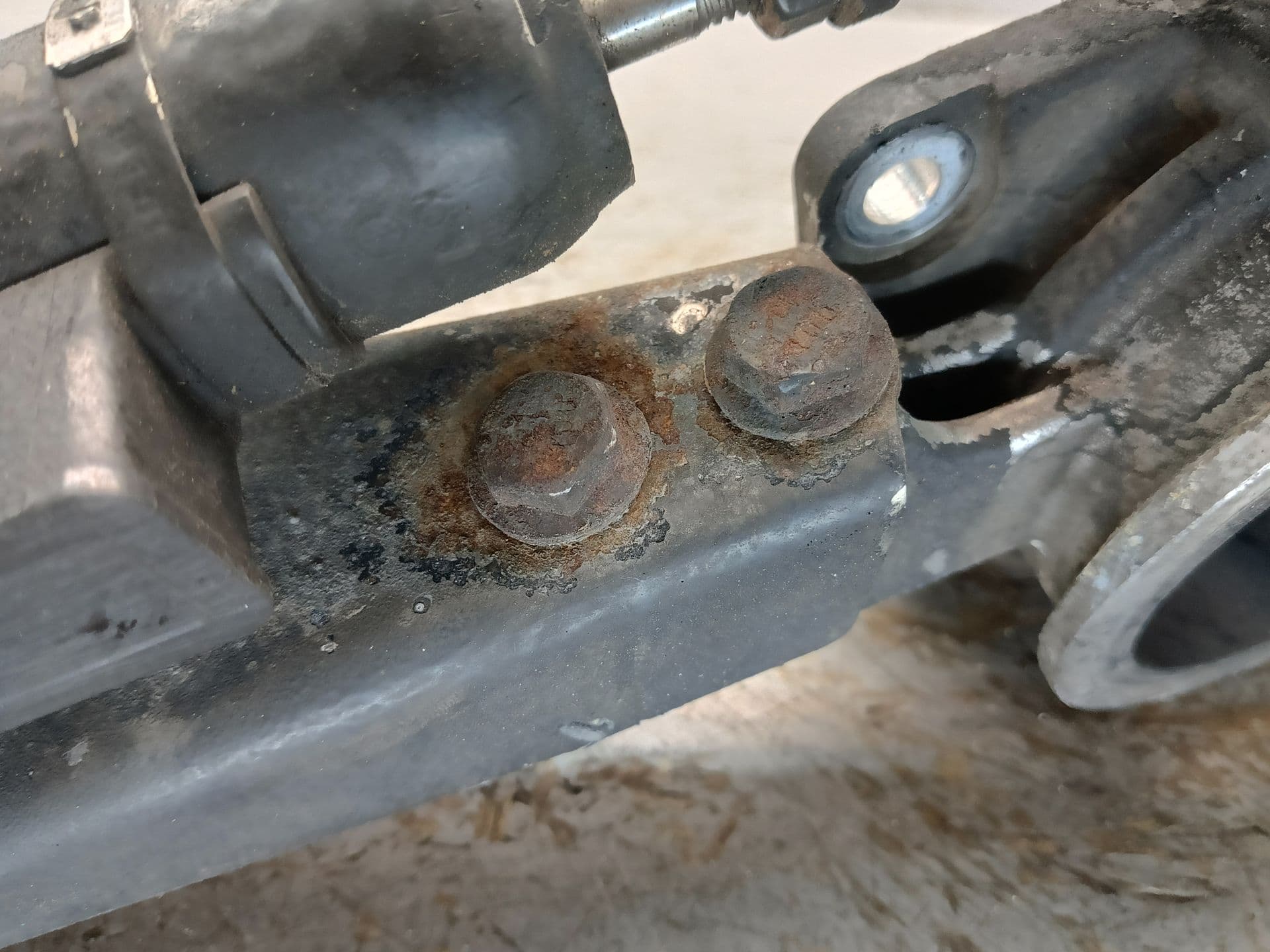 photo-11