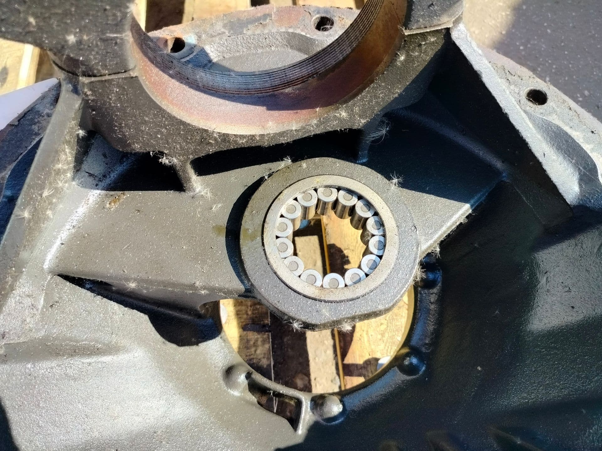 photo-1