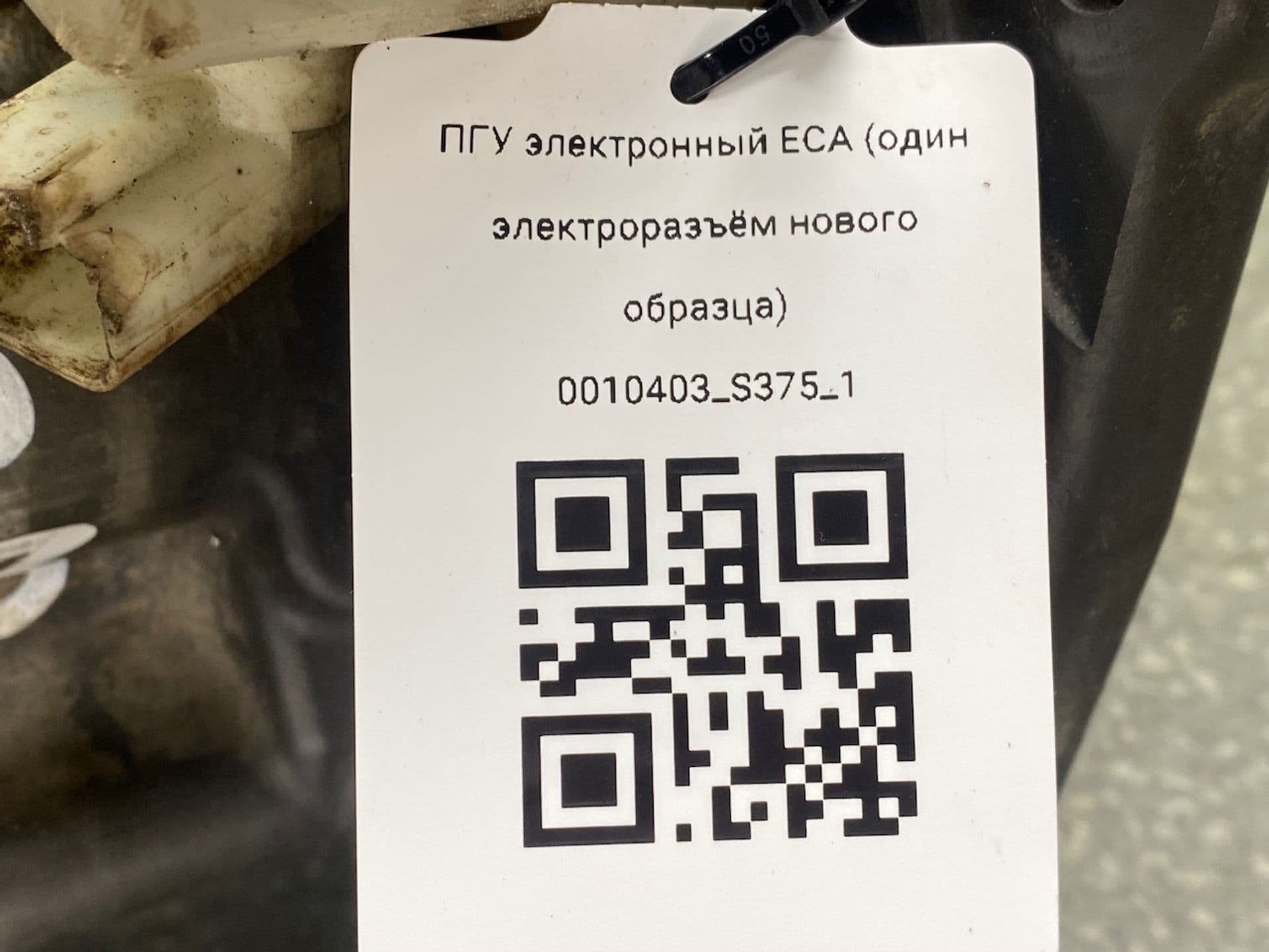 photo-6