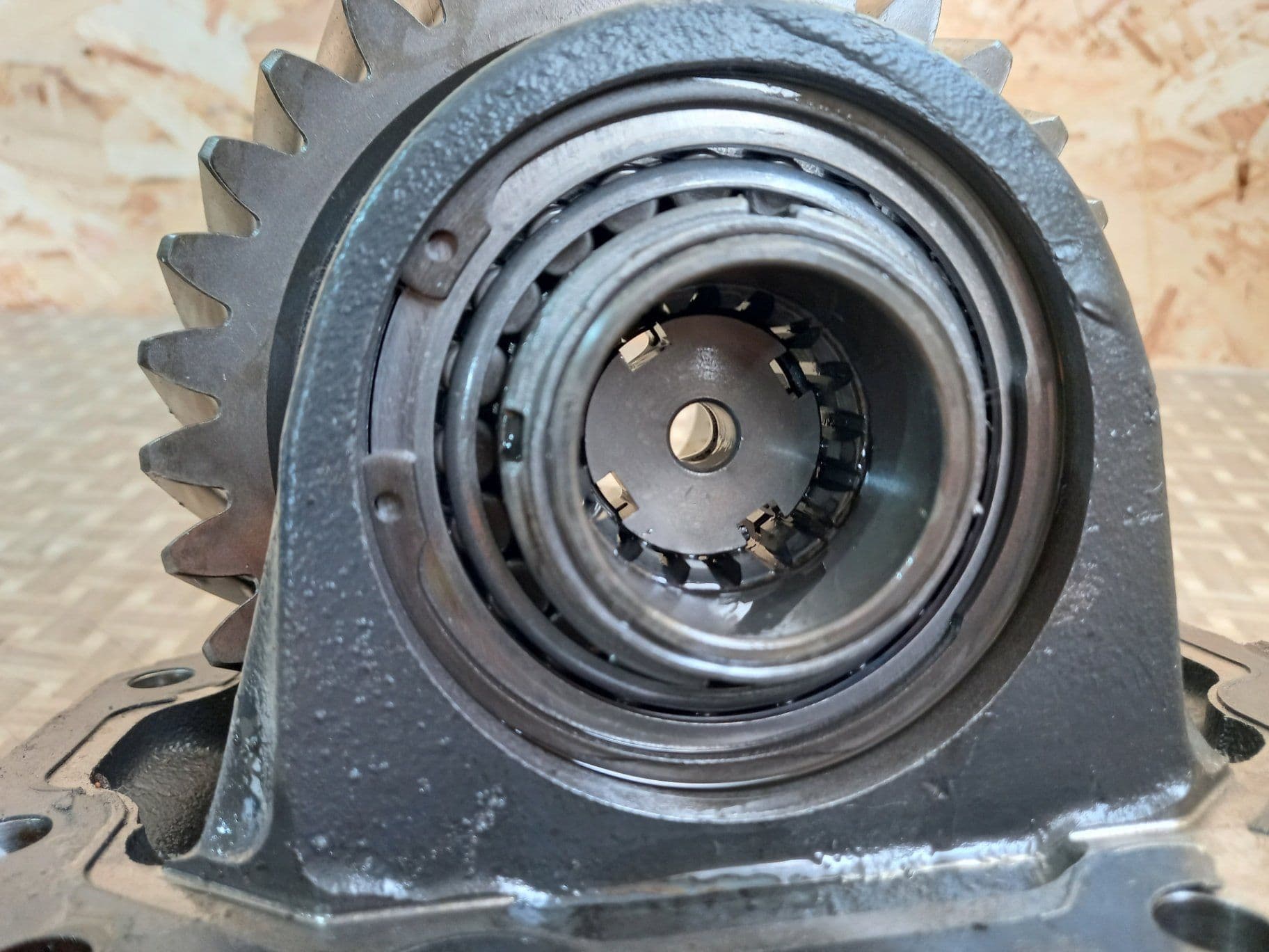 photo-1