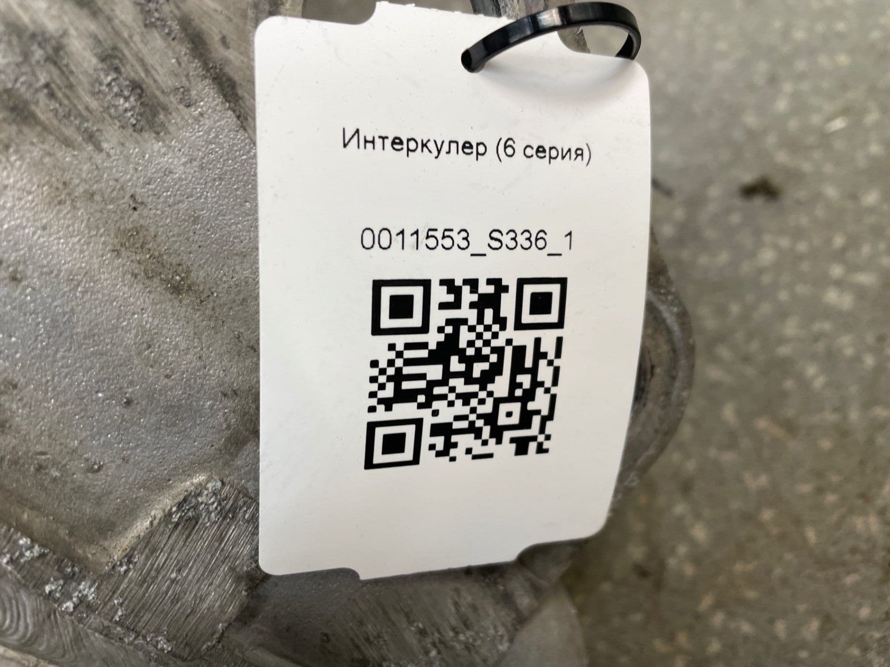photo-1