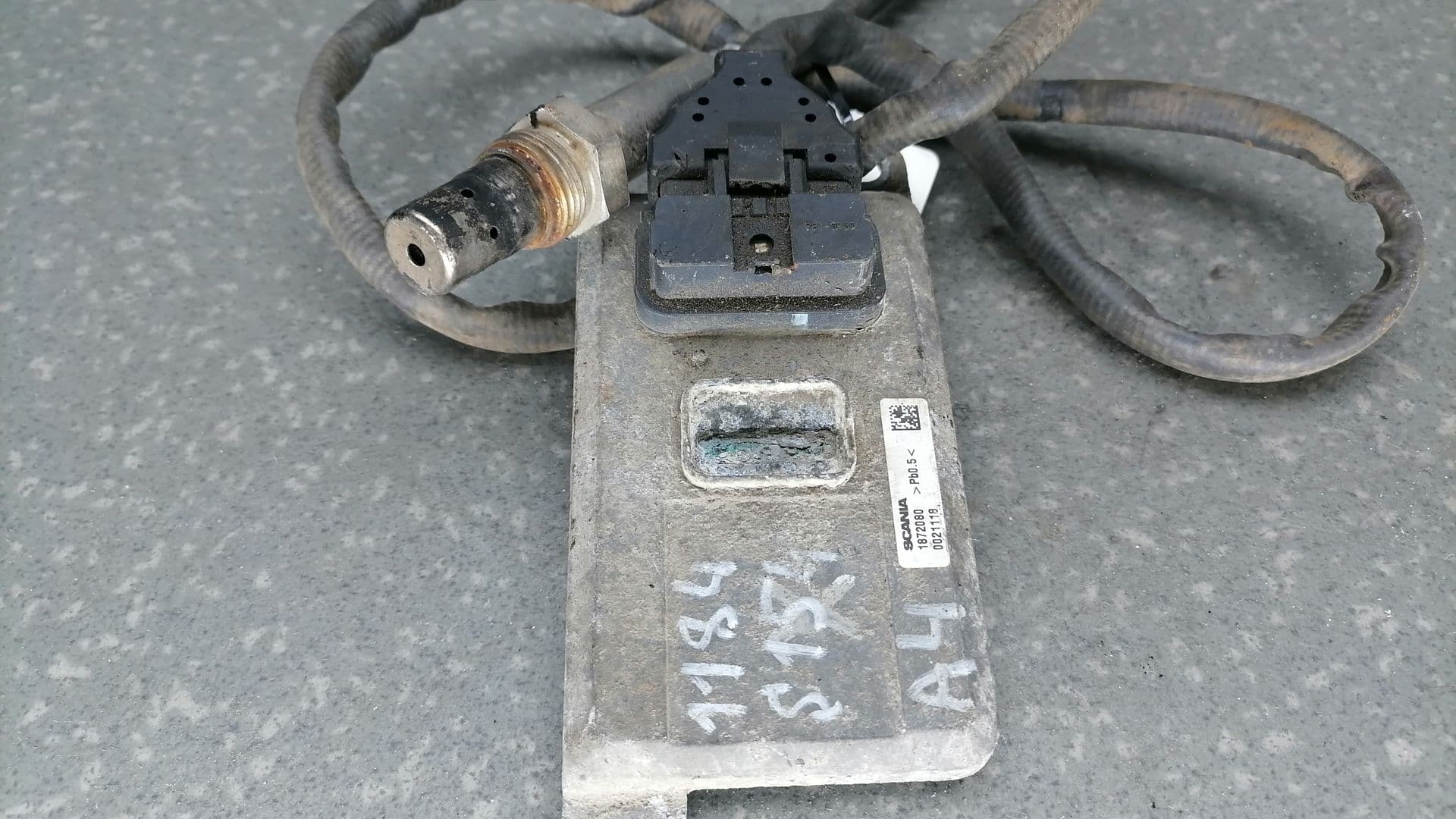 photo-1