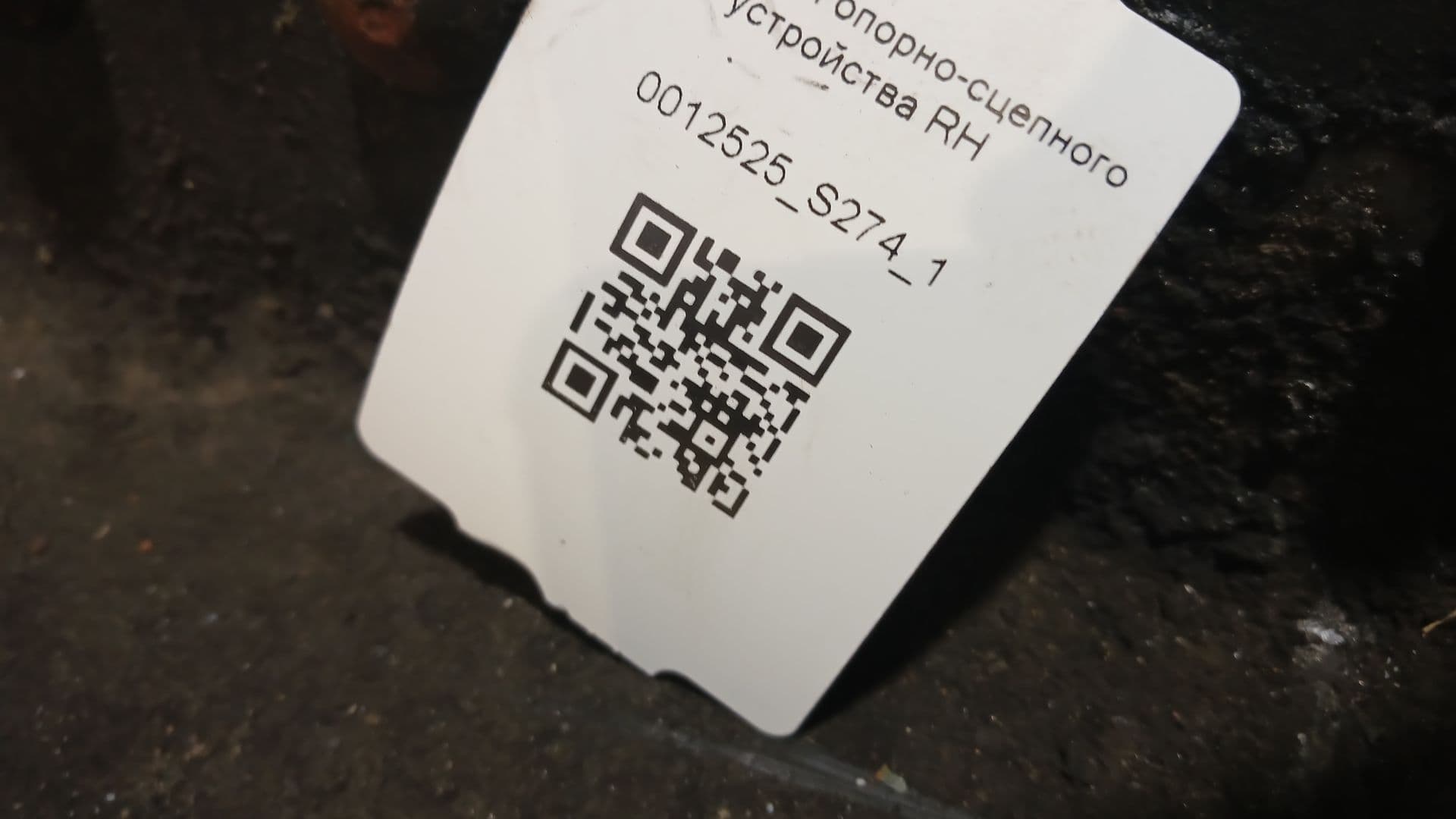 photo-3