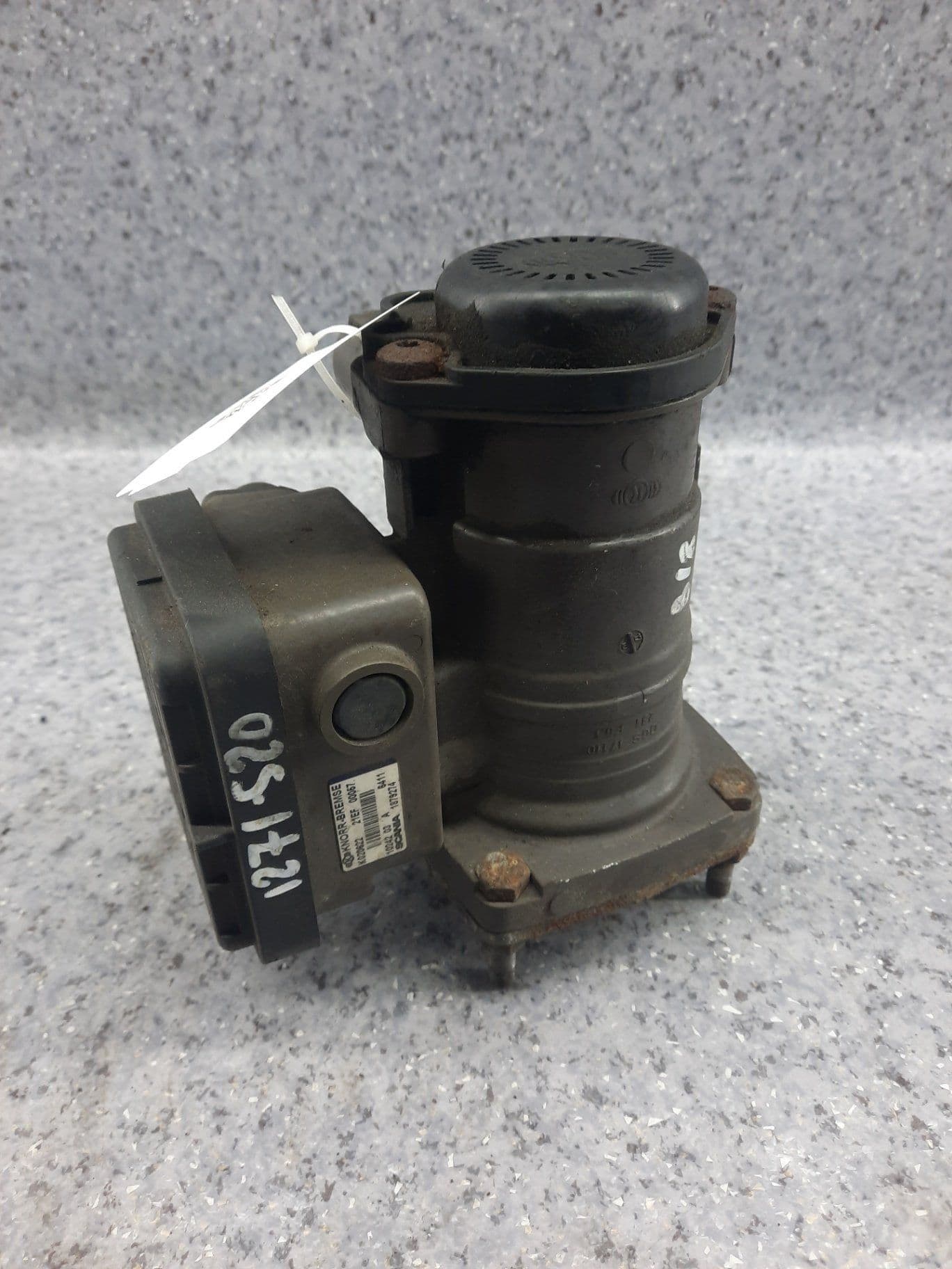 photo-2