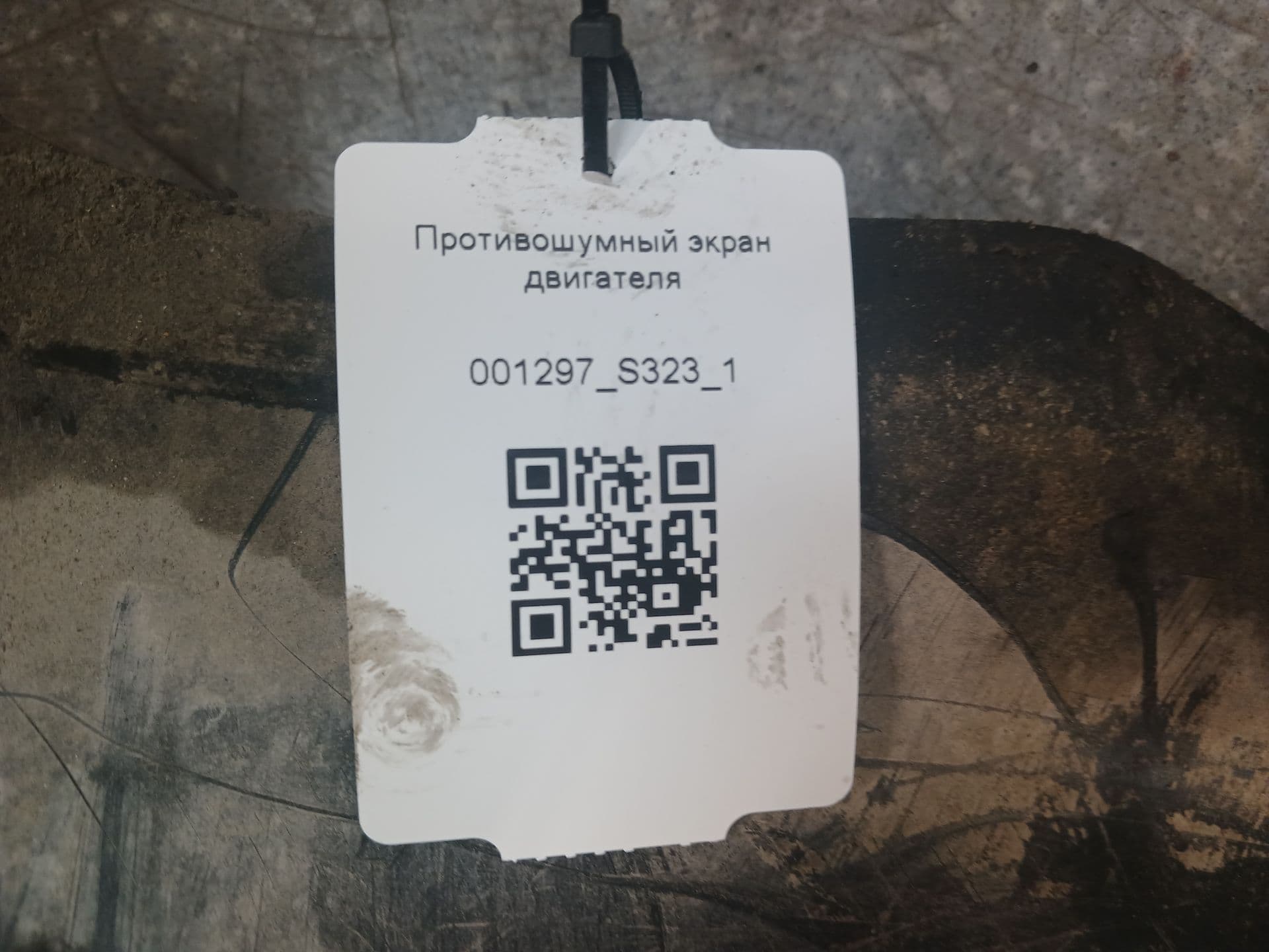 photo-10