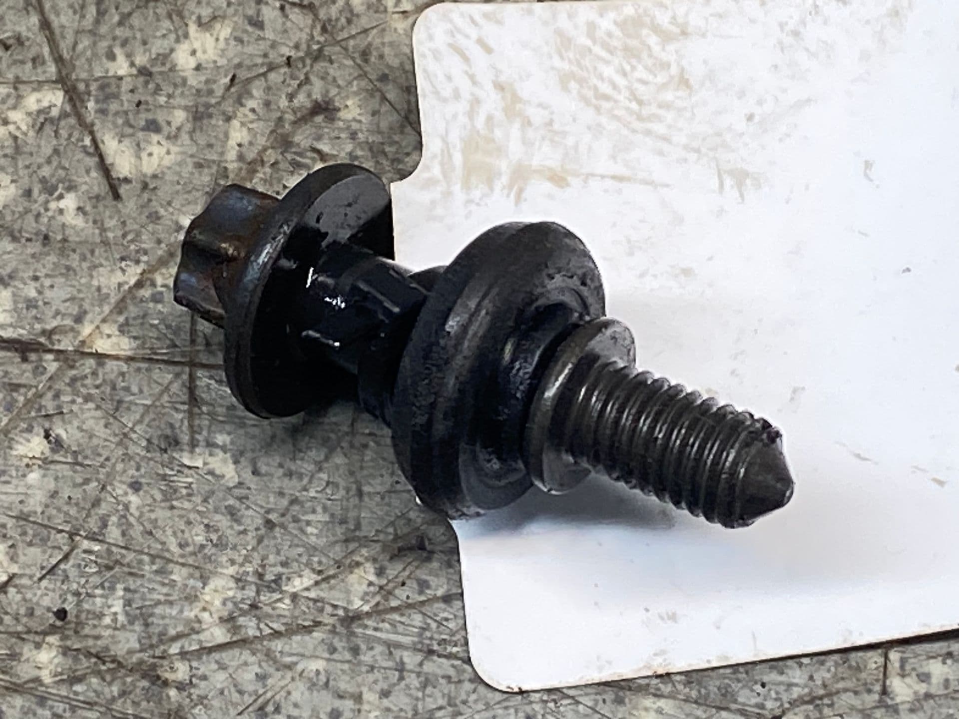 photo-1