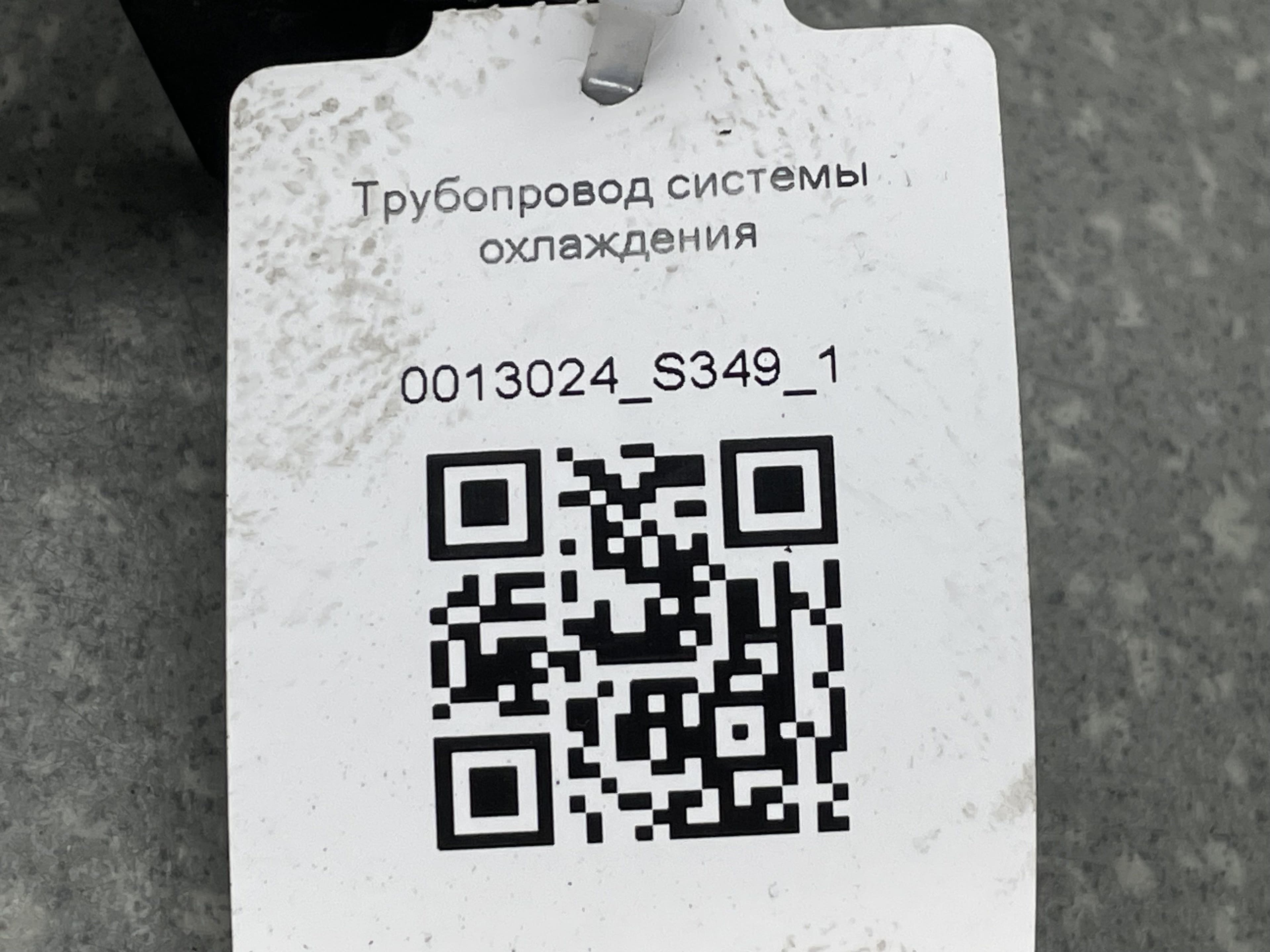 photo-2