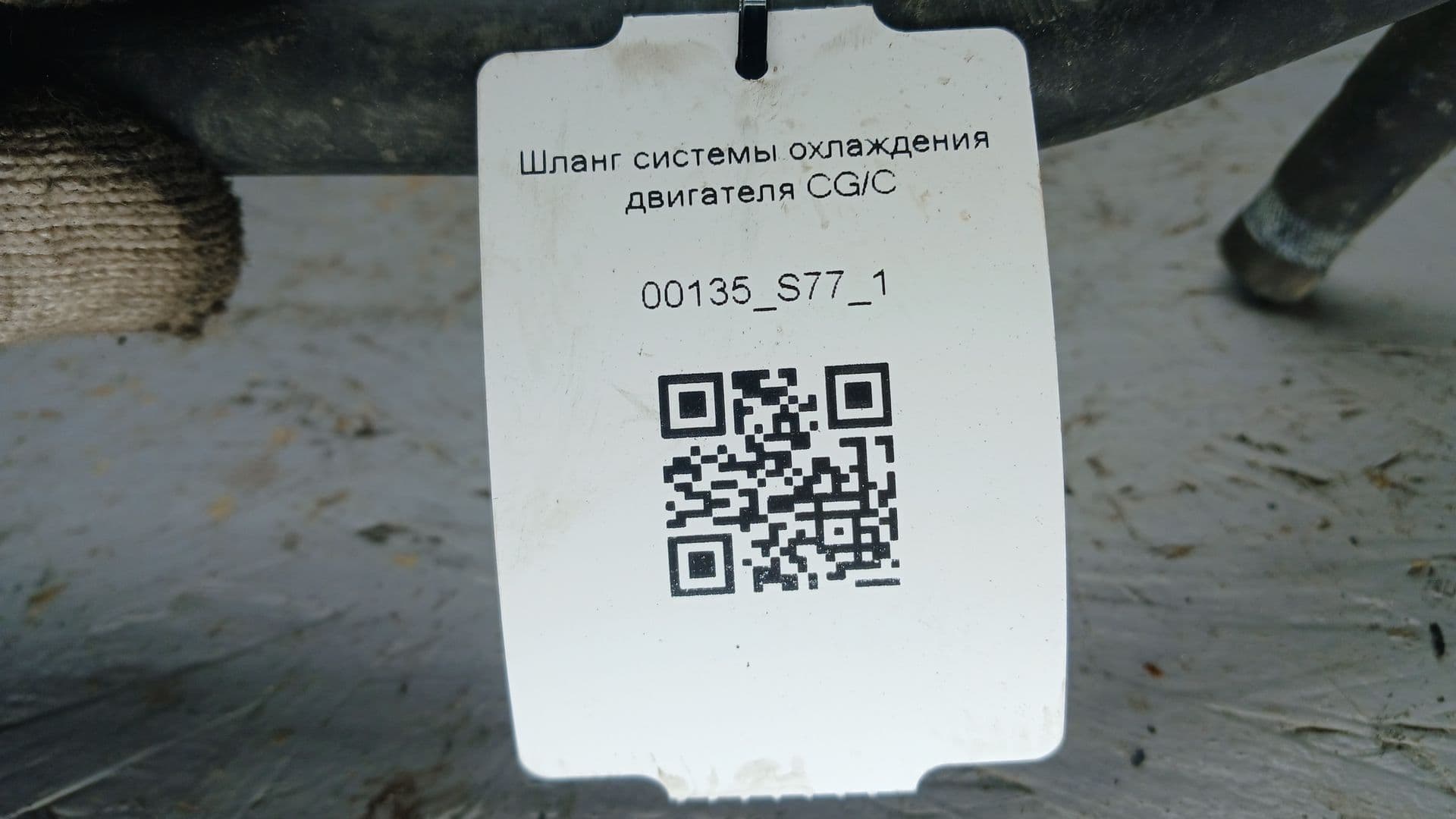photo-5