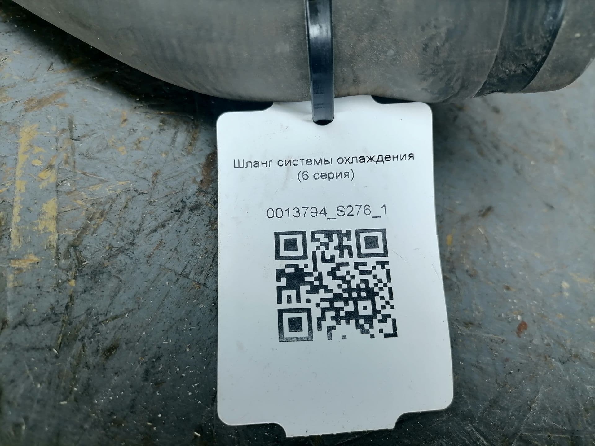 photo-3