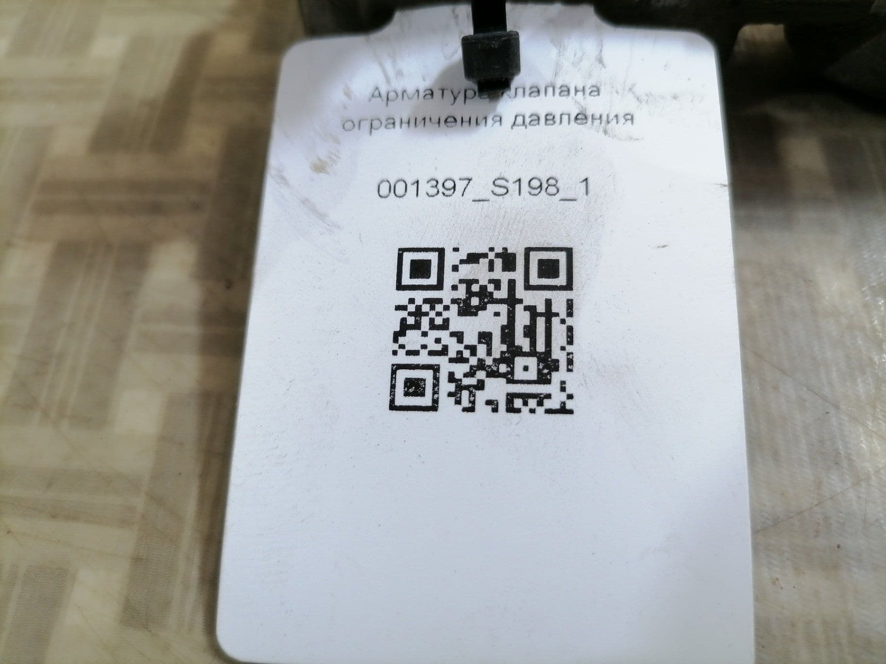 photo-1